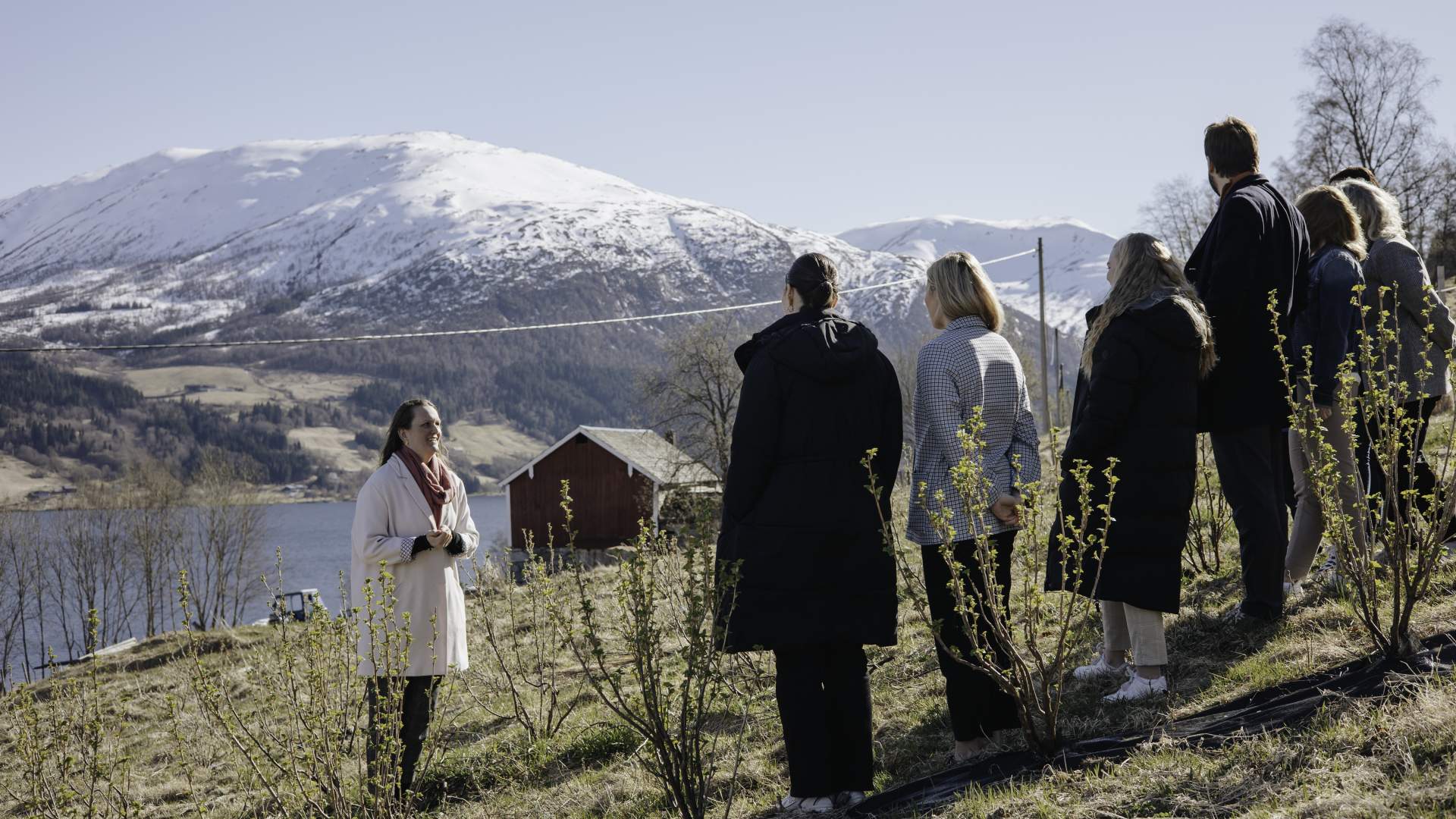 Opplev Vestavin: Omvising og vinsmaking på Vingarden på Jølst