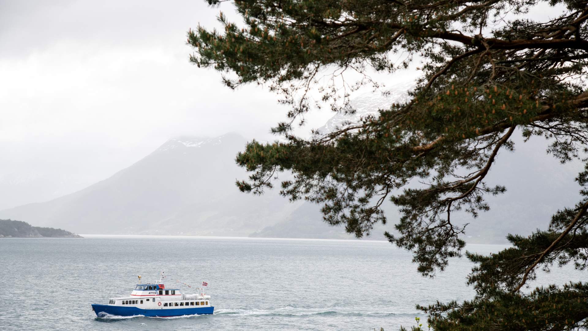 Literature cruise with the Literature boat Epos