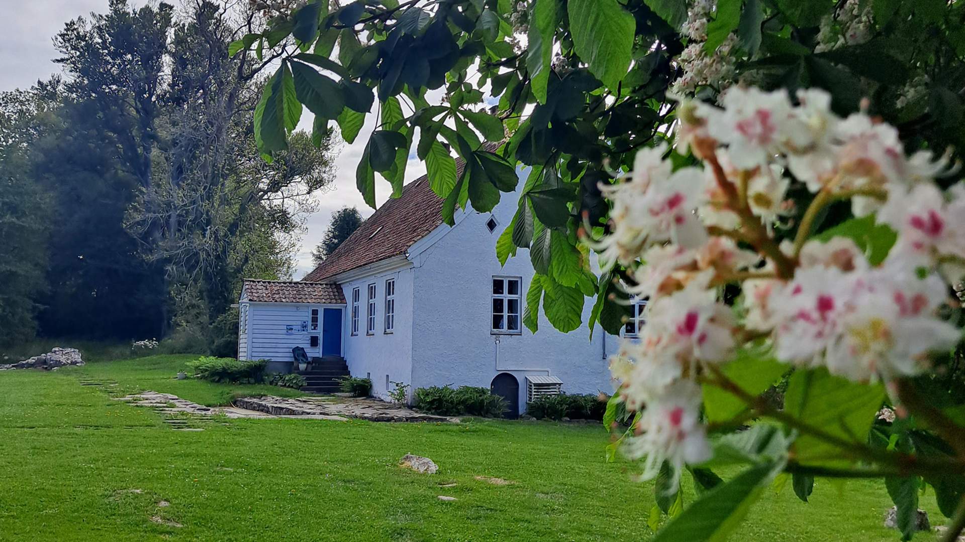 Halsnøy kloster er omgjeve av eldgamle tre