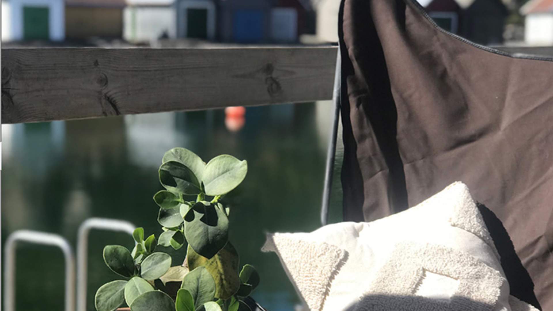 Nyt - like ved sjøen - på PS Bryggekafé