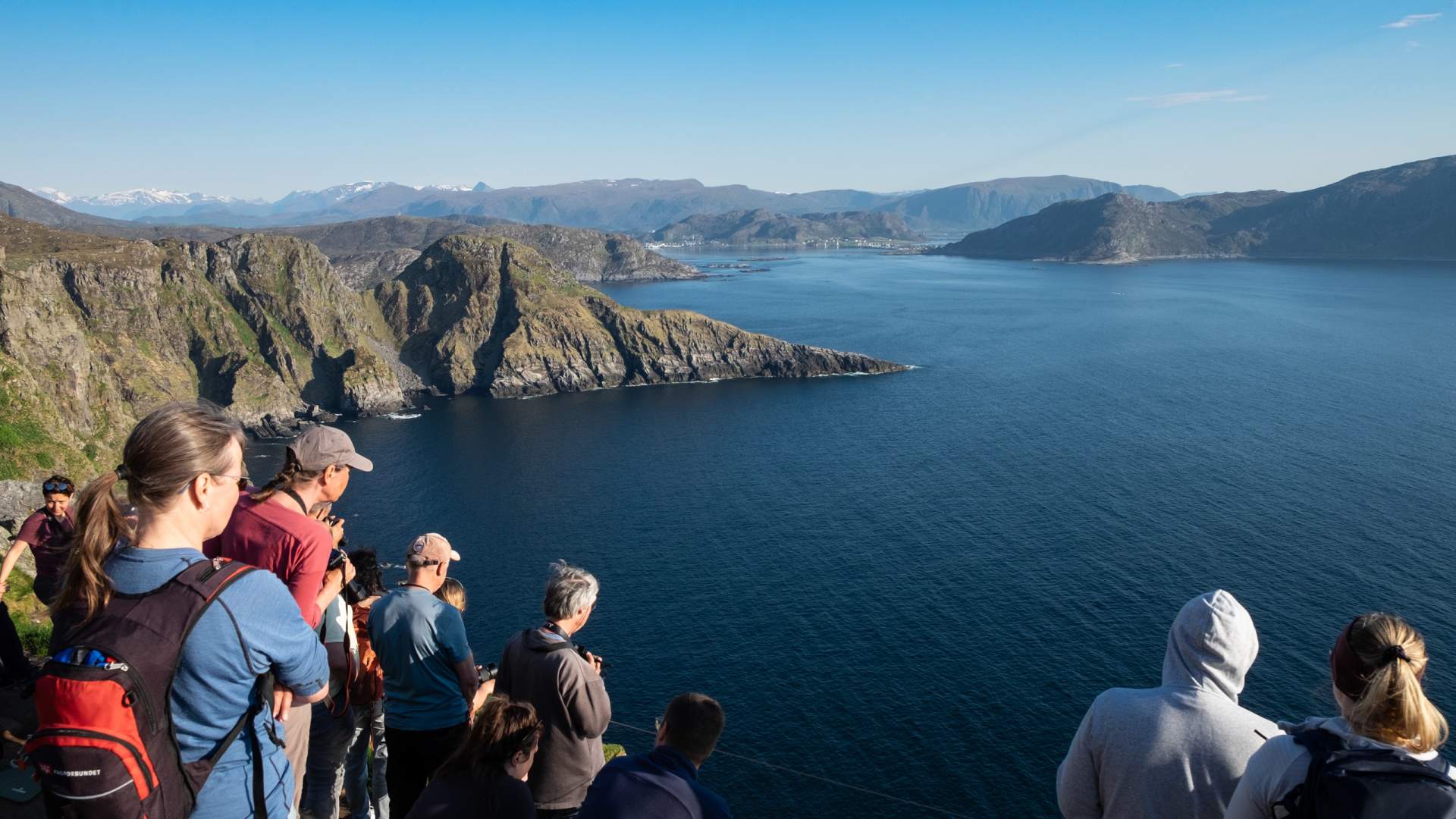 Fuglekikking på Runde.