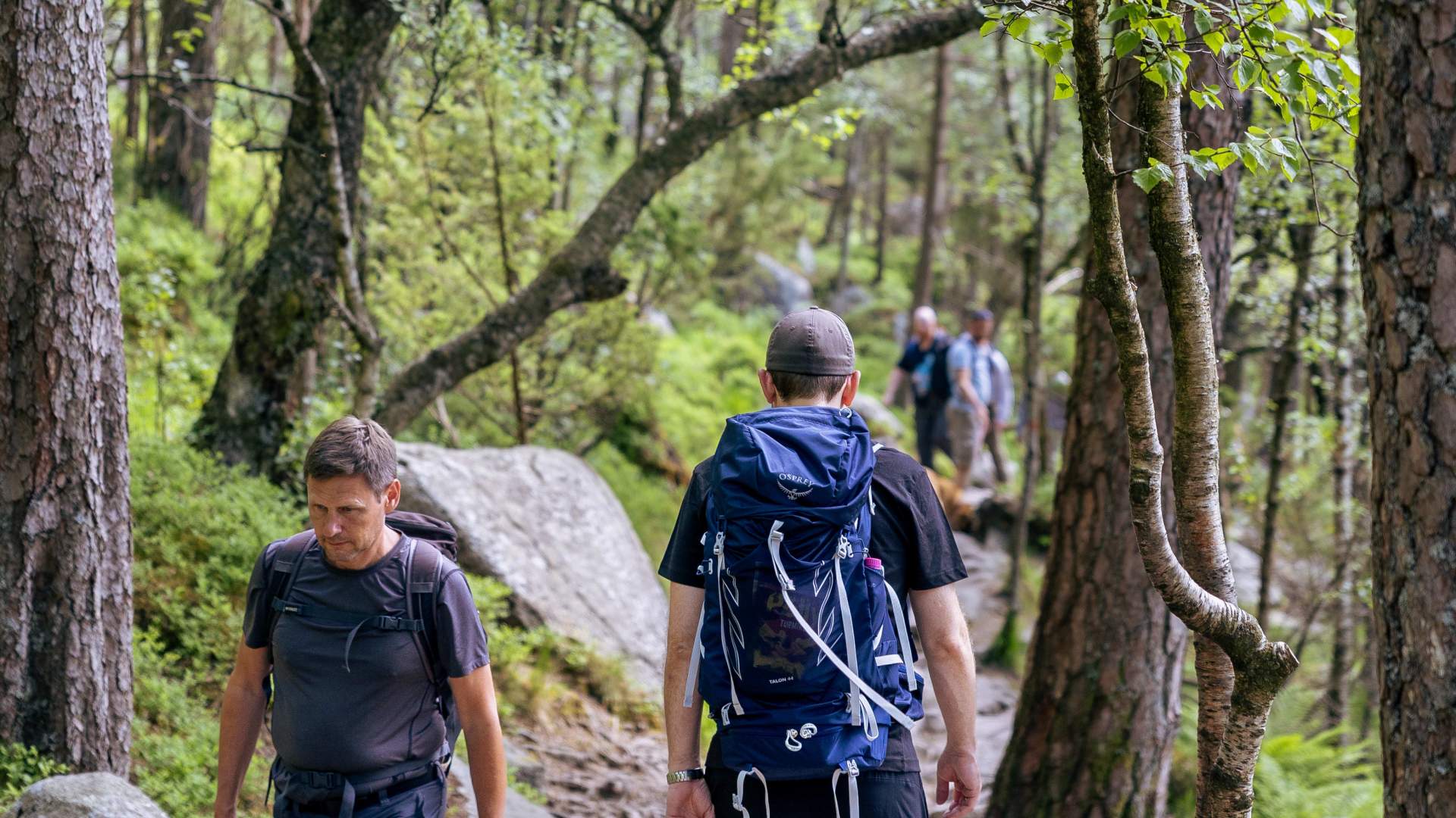 people hiking to preikestolen bus to preikestolen