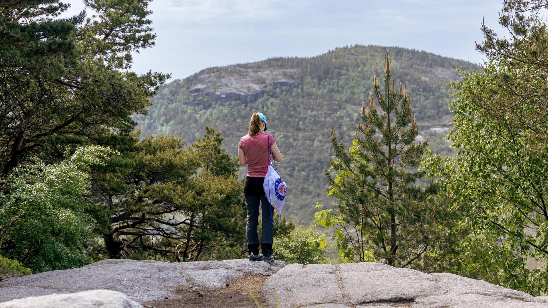 people hiking to preikestolen bus to preikestolen