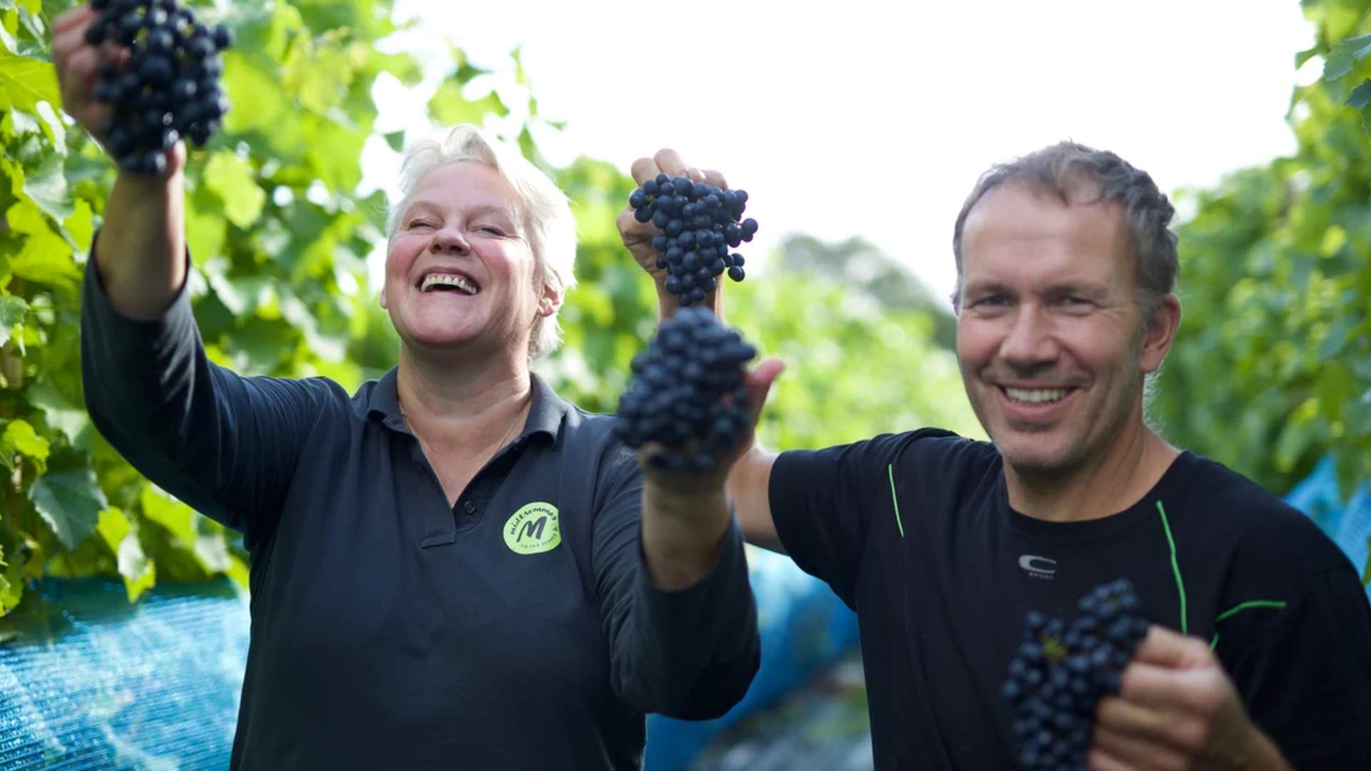 Fjordcruise og besøk på Hebnes vingard