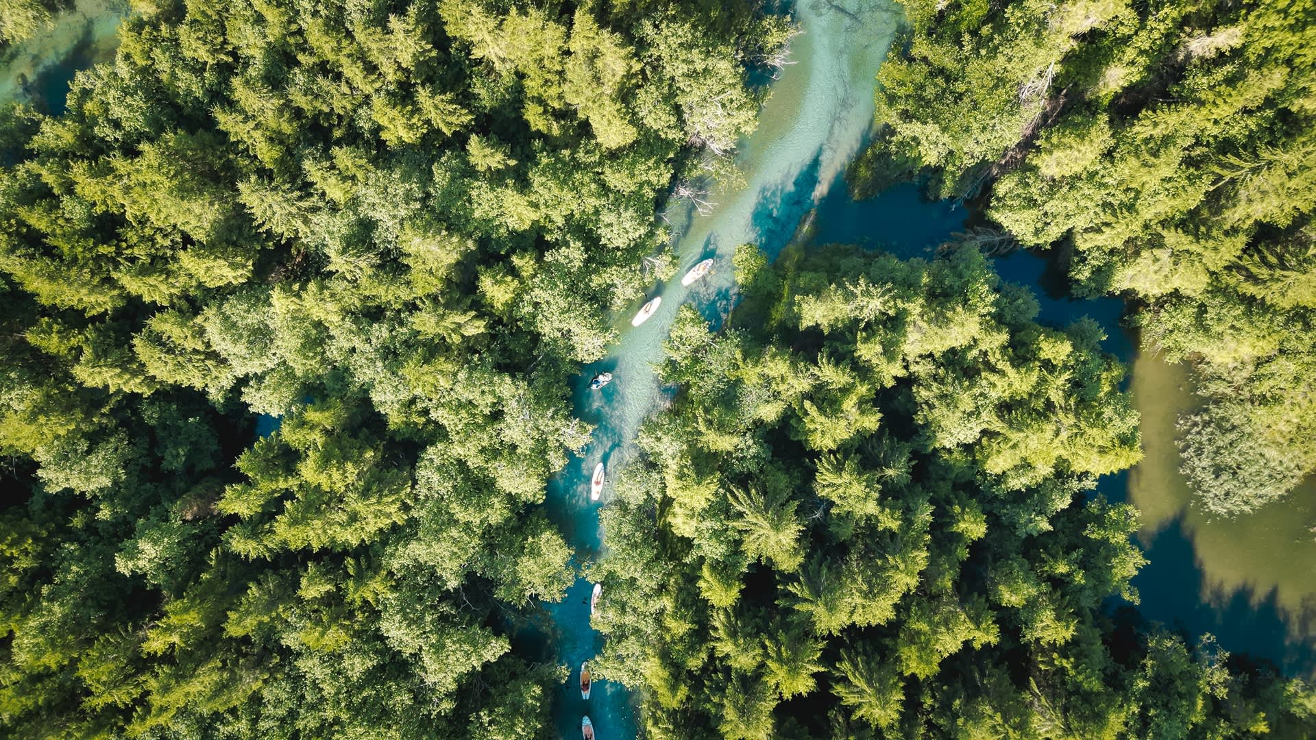 3-timers brettpadling (SUP) med guide på elven Istra i Romsdalen