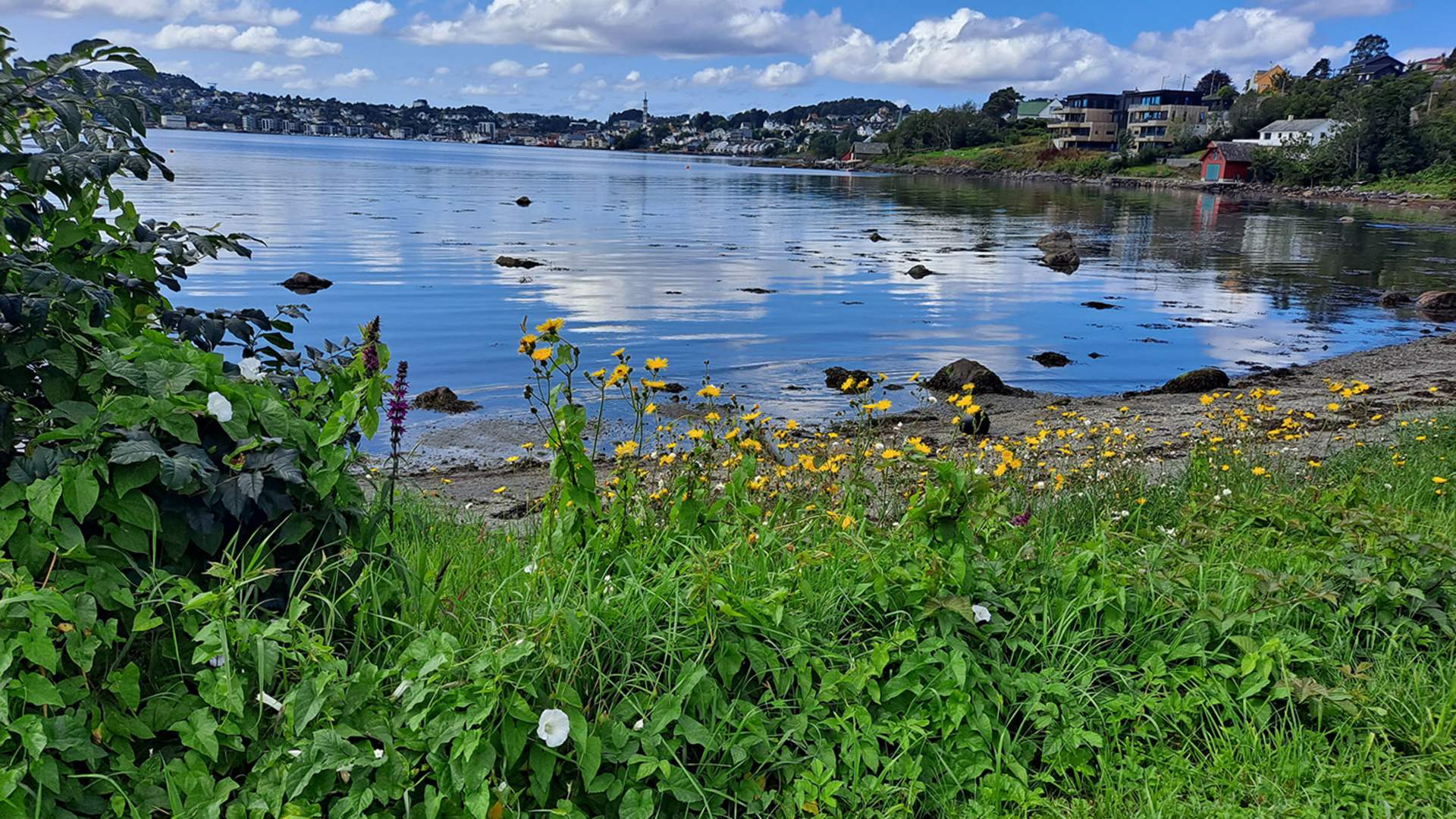 Frå Hystadvikjo - også kalla Aslaksvikjo har du utsikt mot Leirvik sentrum.