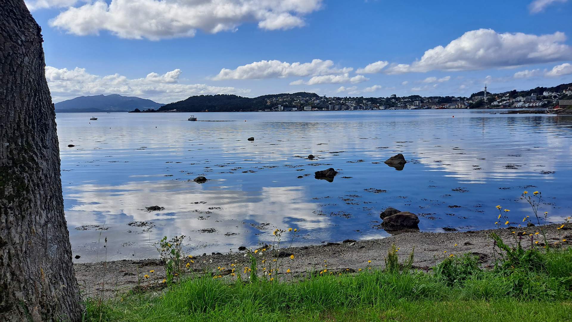 Frå Hystadvikjo ser du både hurtigbåtar, fritidsbåtar, arkitektur - og natur!