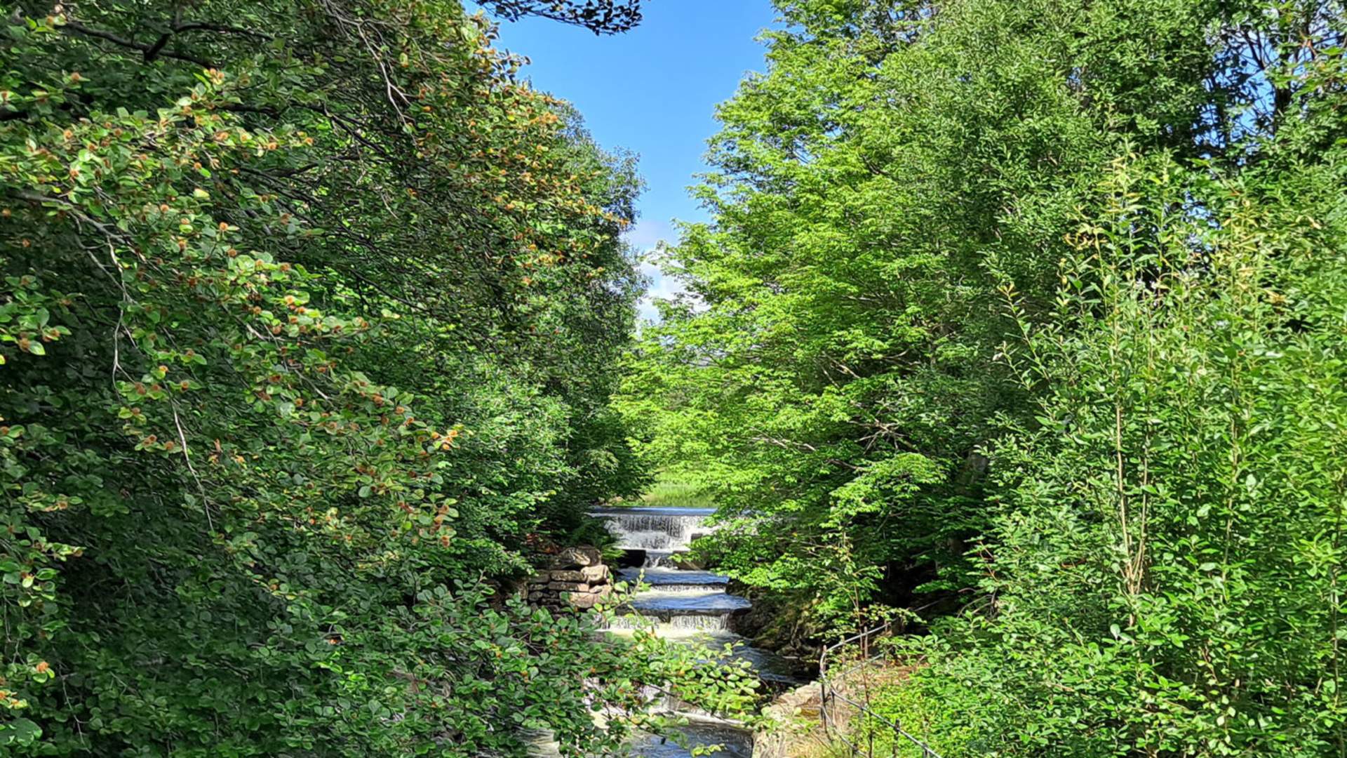 Idyll ved Frugarden - i starten av Ådlandsvatnet tursti