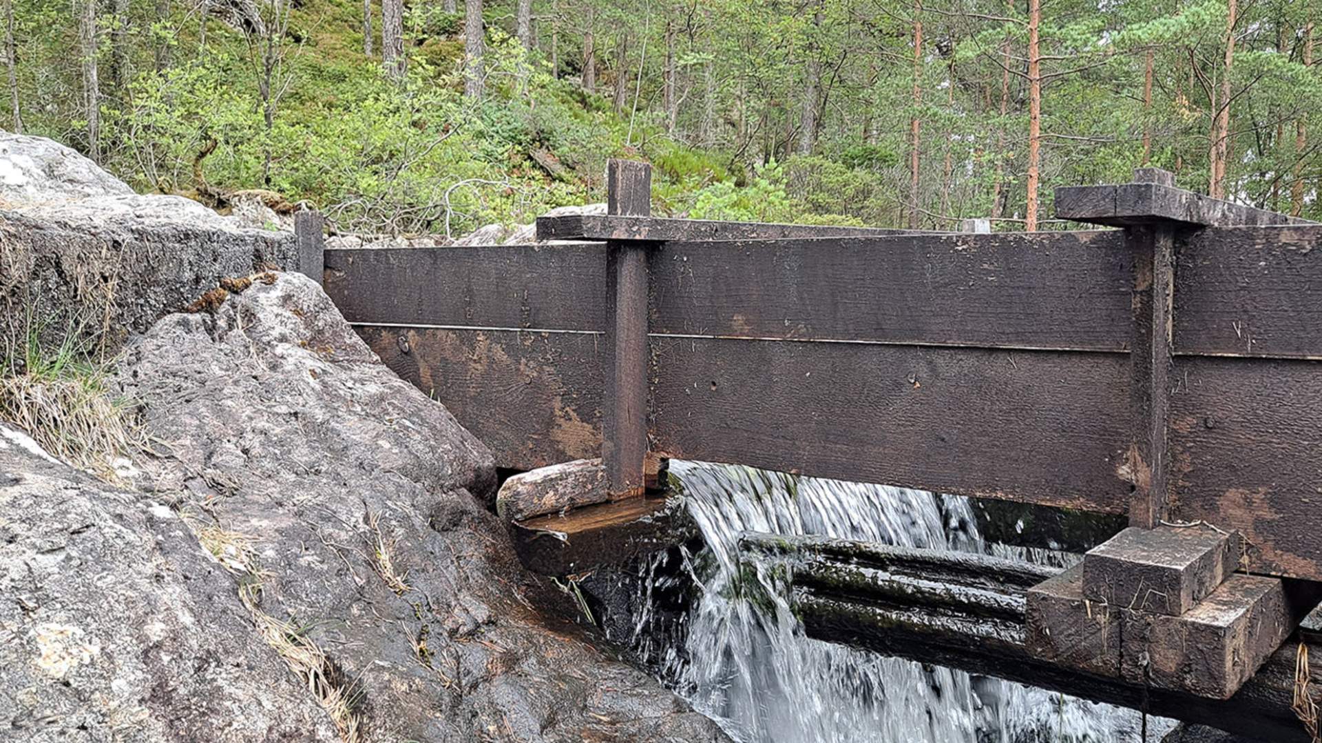 Rydlandssago er over 100 år gamal