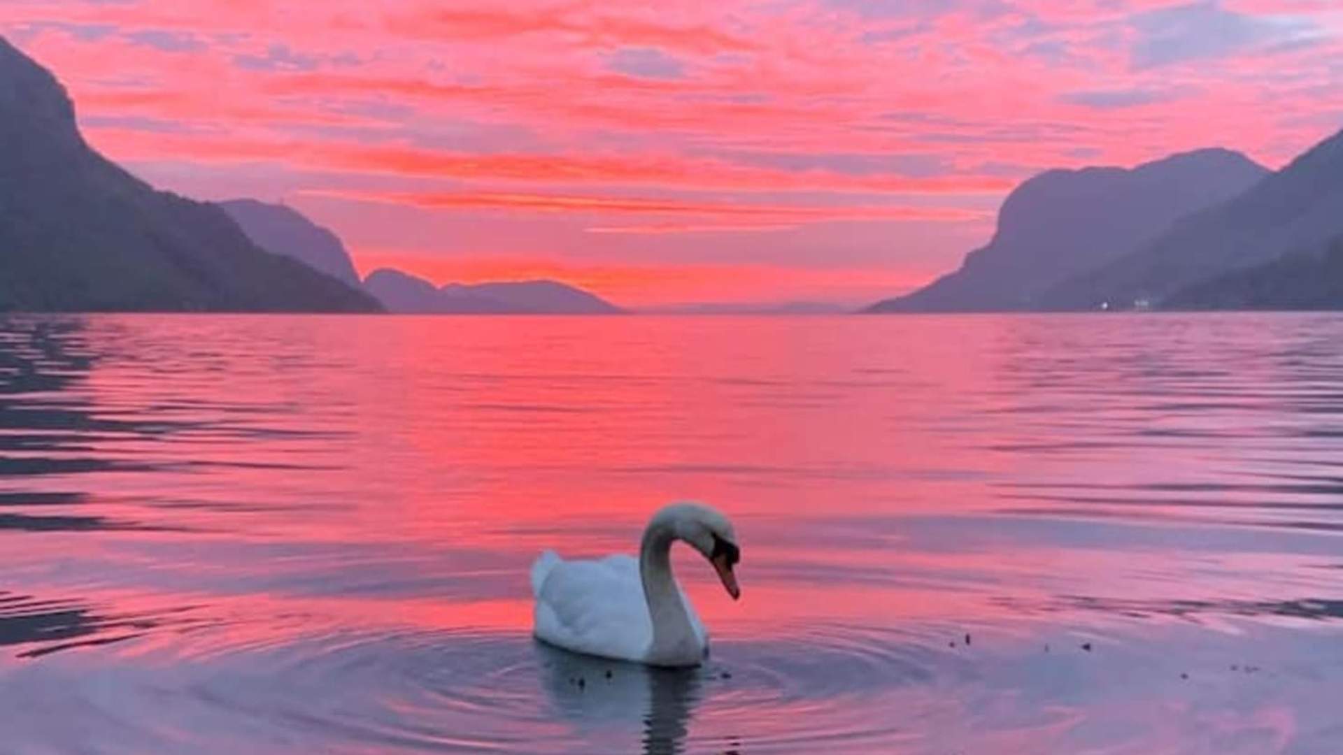 Dirdalstraen Gardsutsalg overnatting i hus