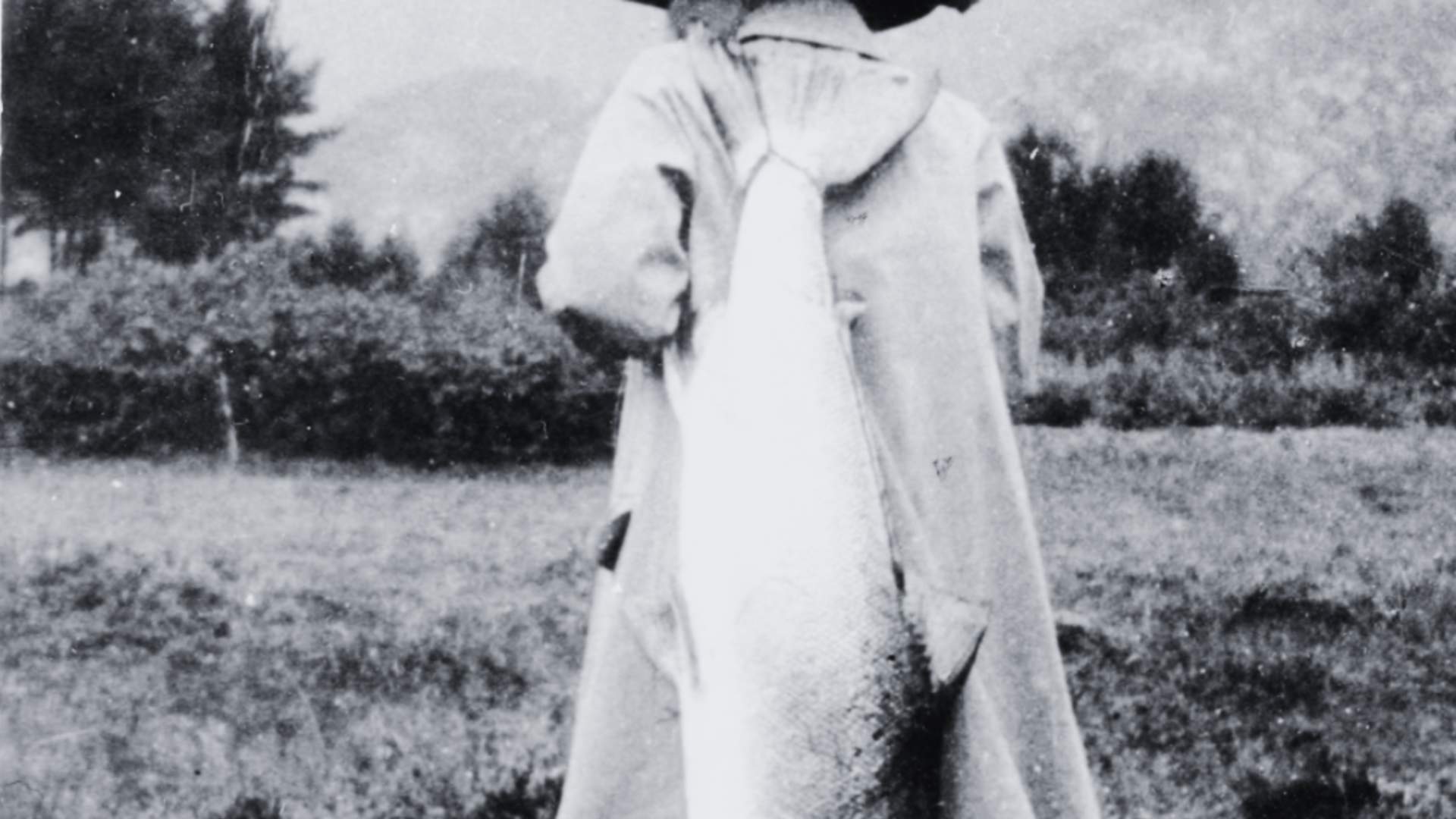 Vill laks. Ei historisk vandring langs Suldalslågen