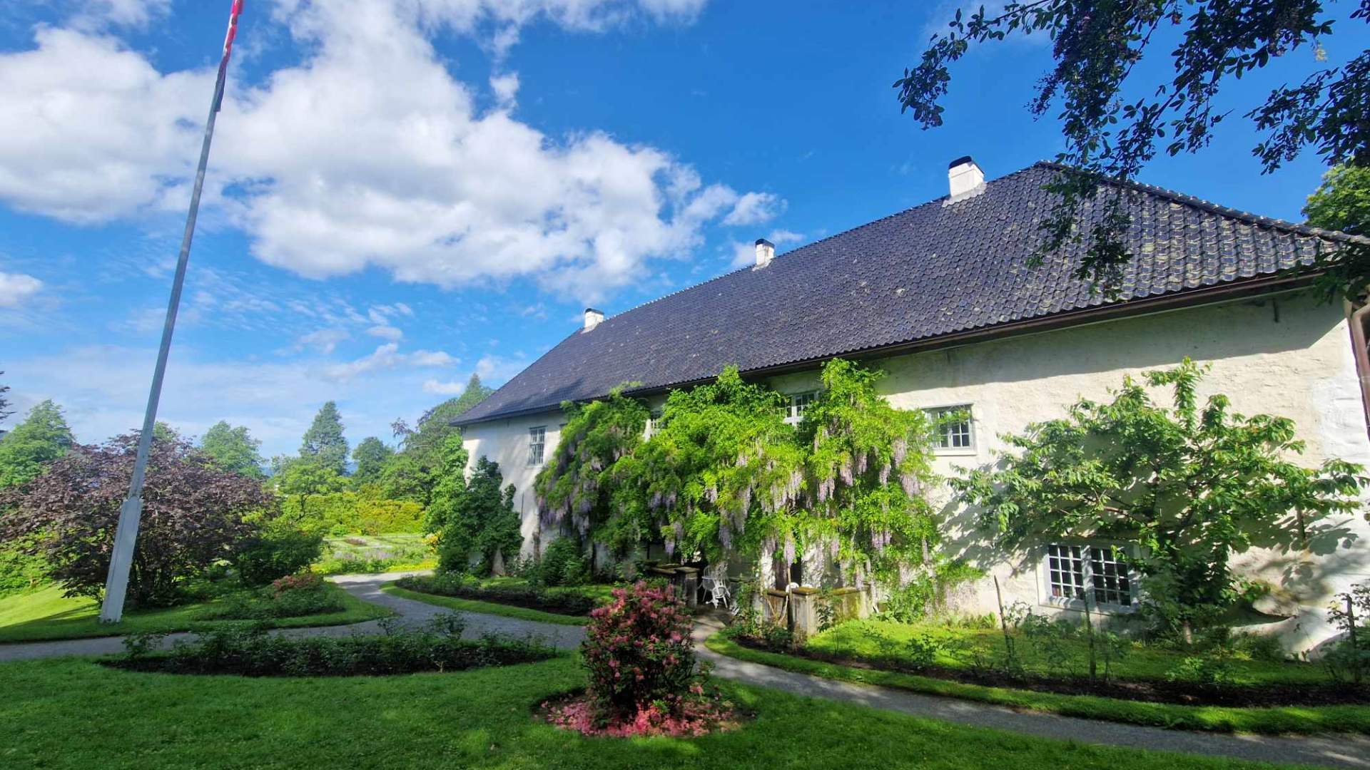Baroniet Rosendal med det flotte blåregn-treet langs veggen.