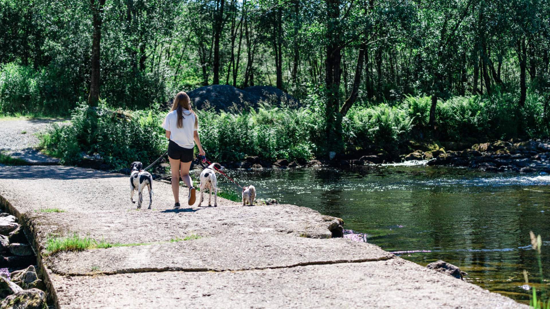 Rotarystien på Hareid