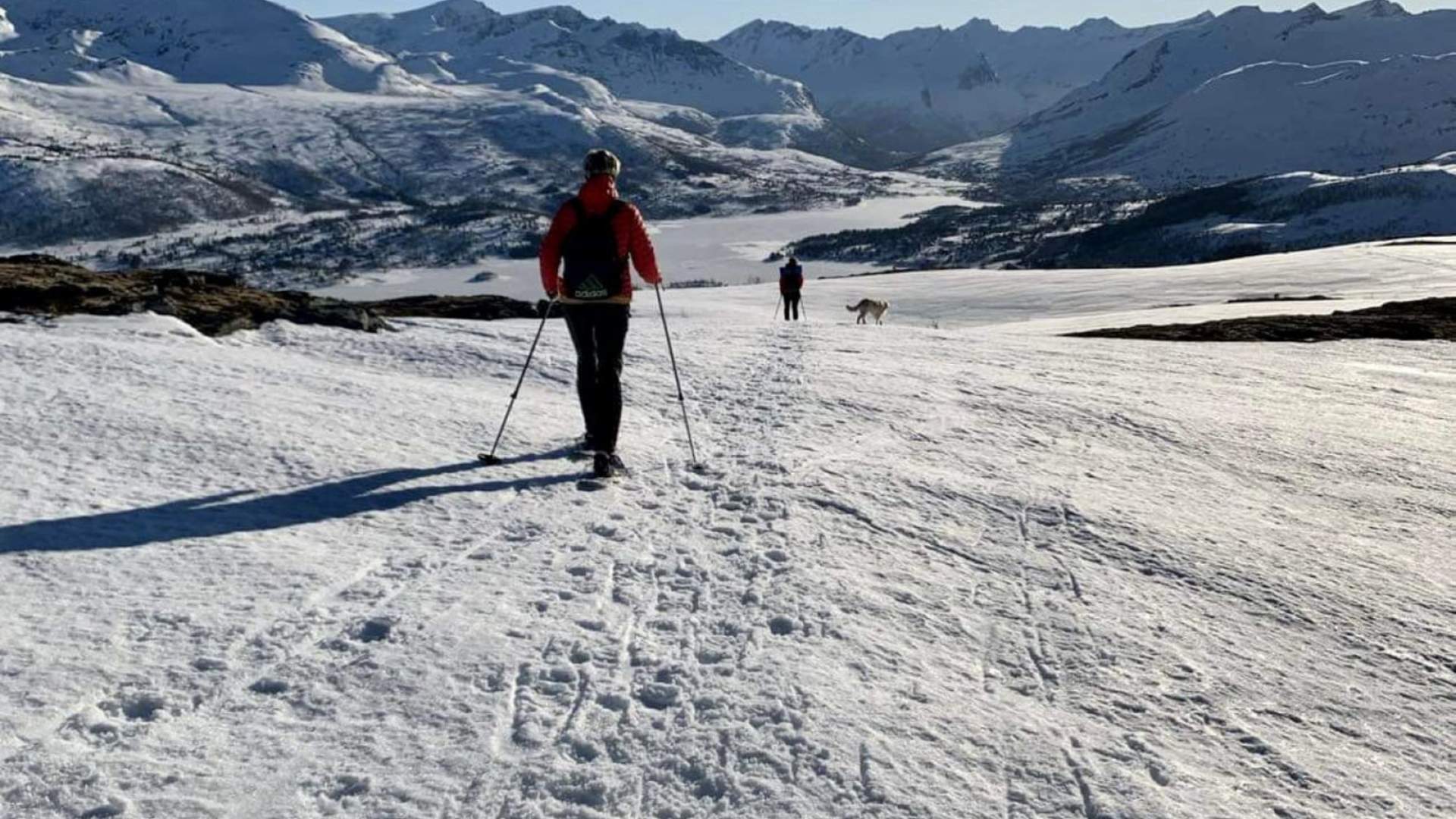 Trugetur med guide på Sunnmøre