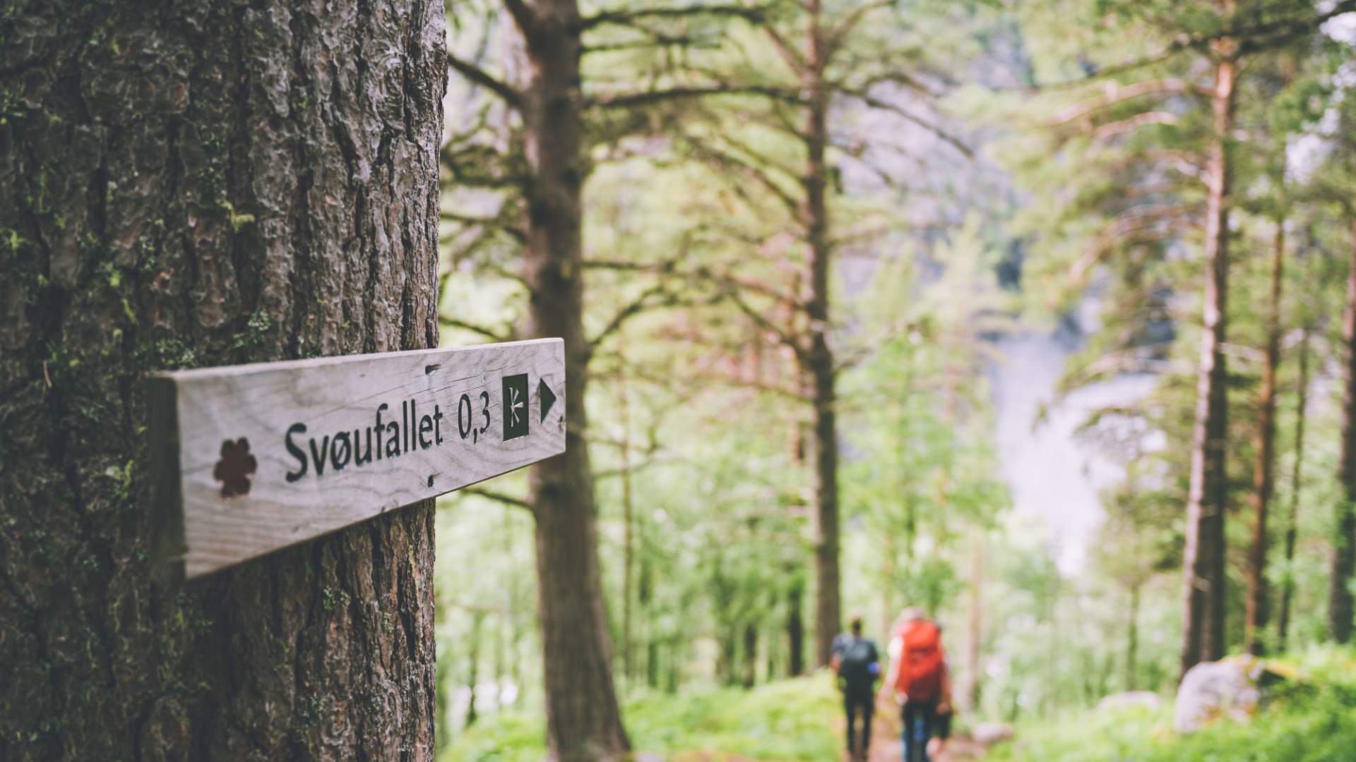 Die Wasserfälle hinein Åmotan