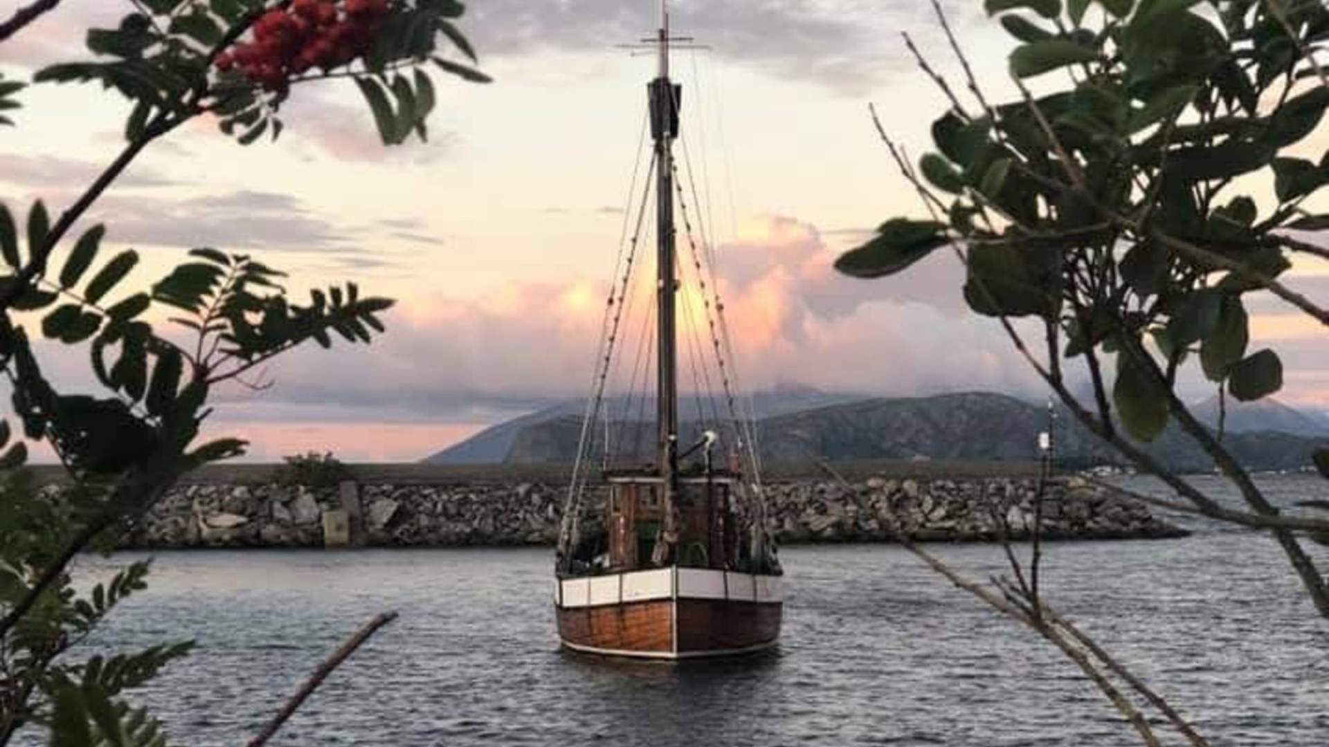Utsikt utover havna og havet fra Alnes Brygge.