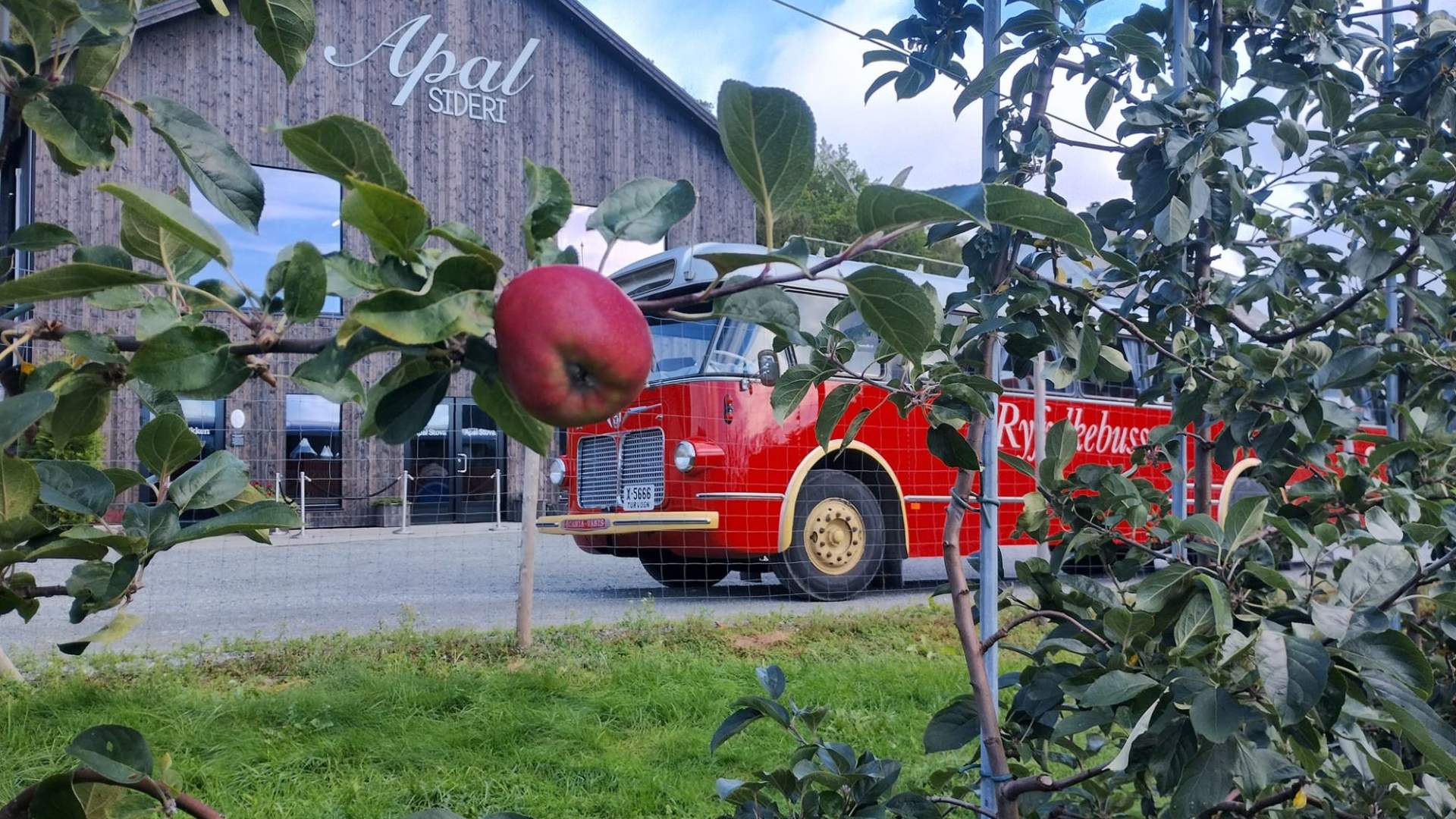 Ryfylkebussen - Jøsneset Transport