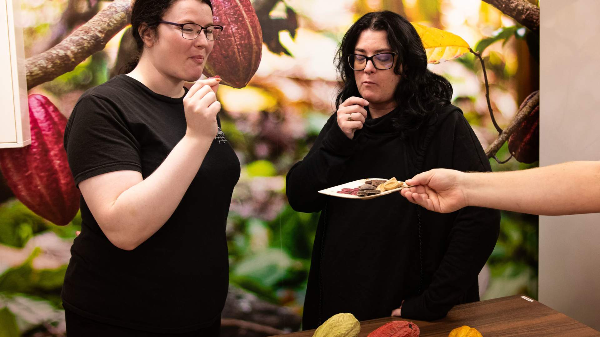 Chili Chocolate making chocolate and tasting