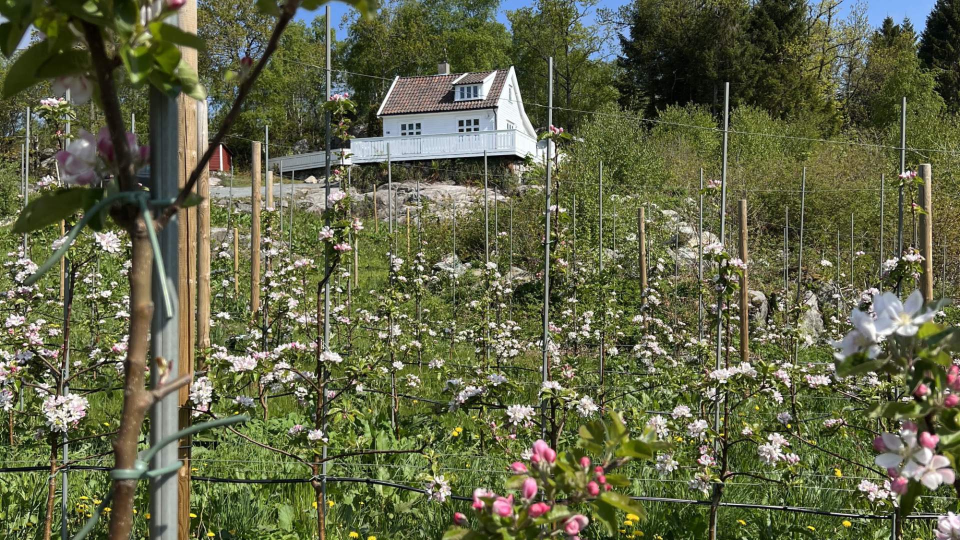 Tjeltveit Fjordferie, Skiftun