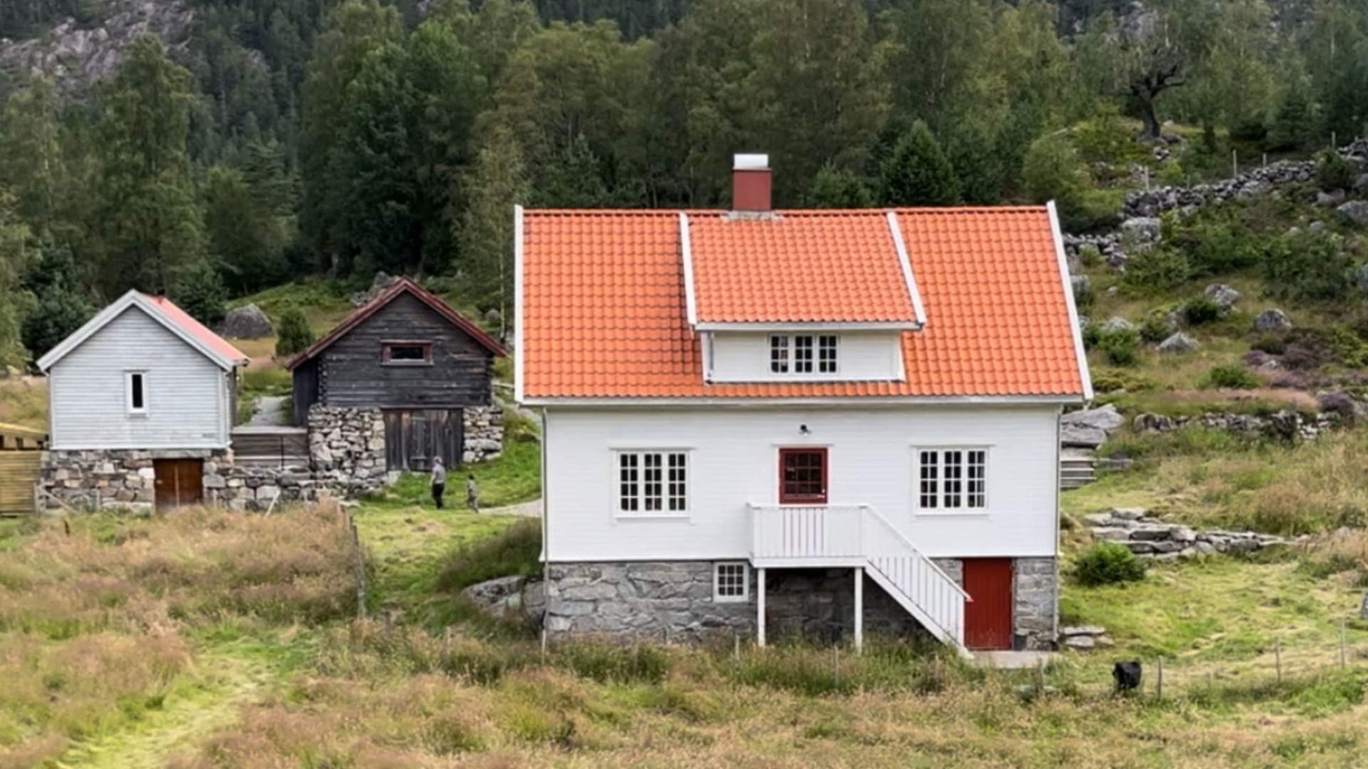 fjord hike to preikestolen and cruise on the lysefjord cabin stay