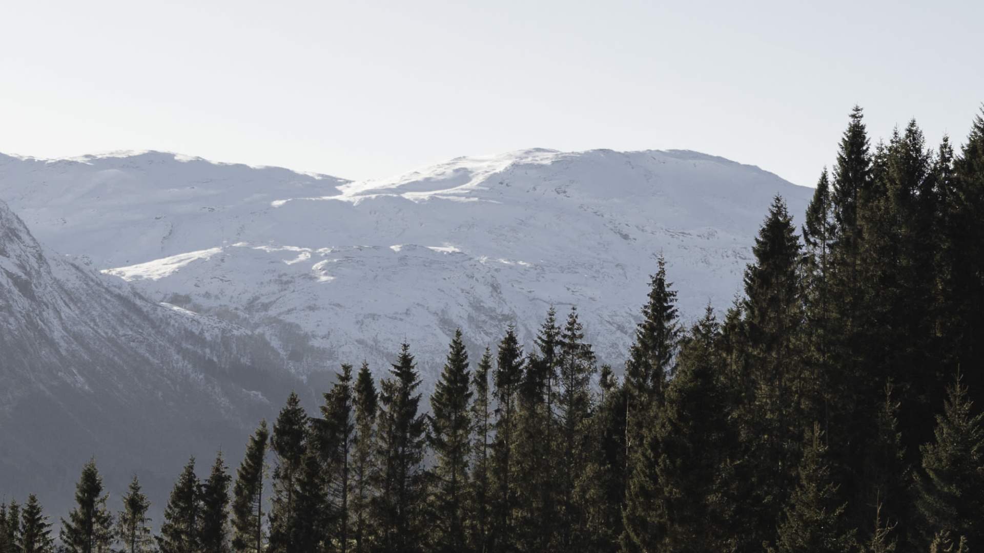 Dagsturhytta Haugaro