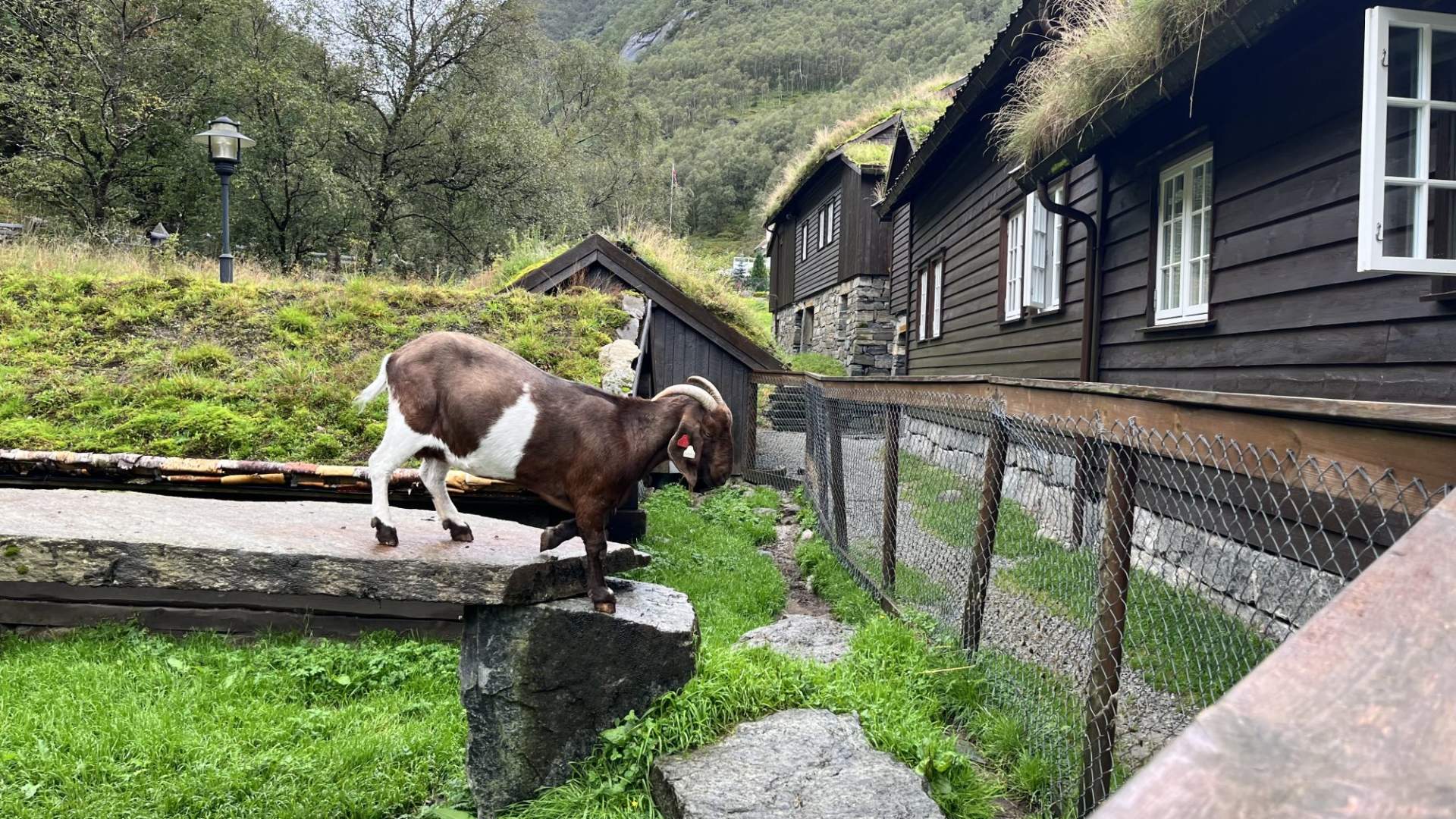 Fjord Hikes Stavanger Day trip