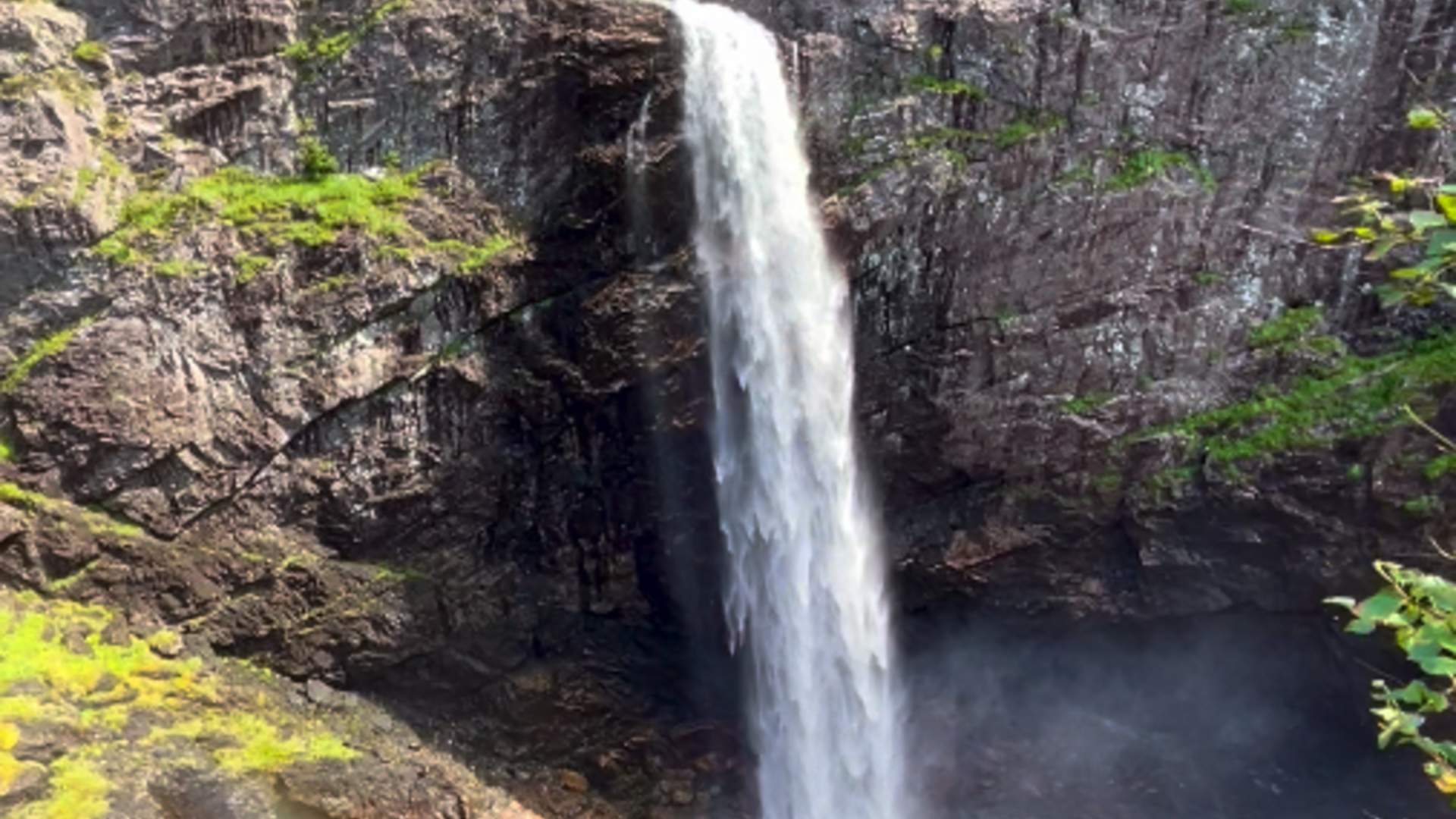 Fjord Hikes Stavanger Day trip