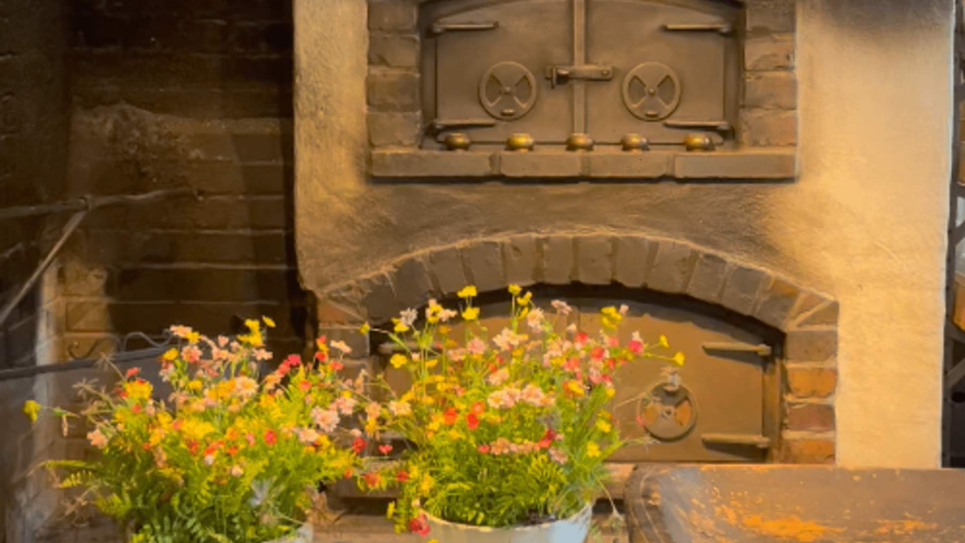 Fjord Hikes Stavanger Day trip