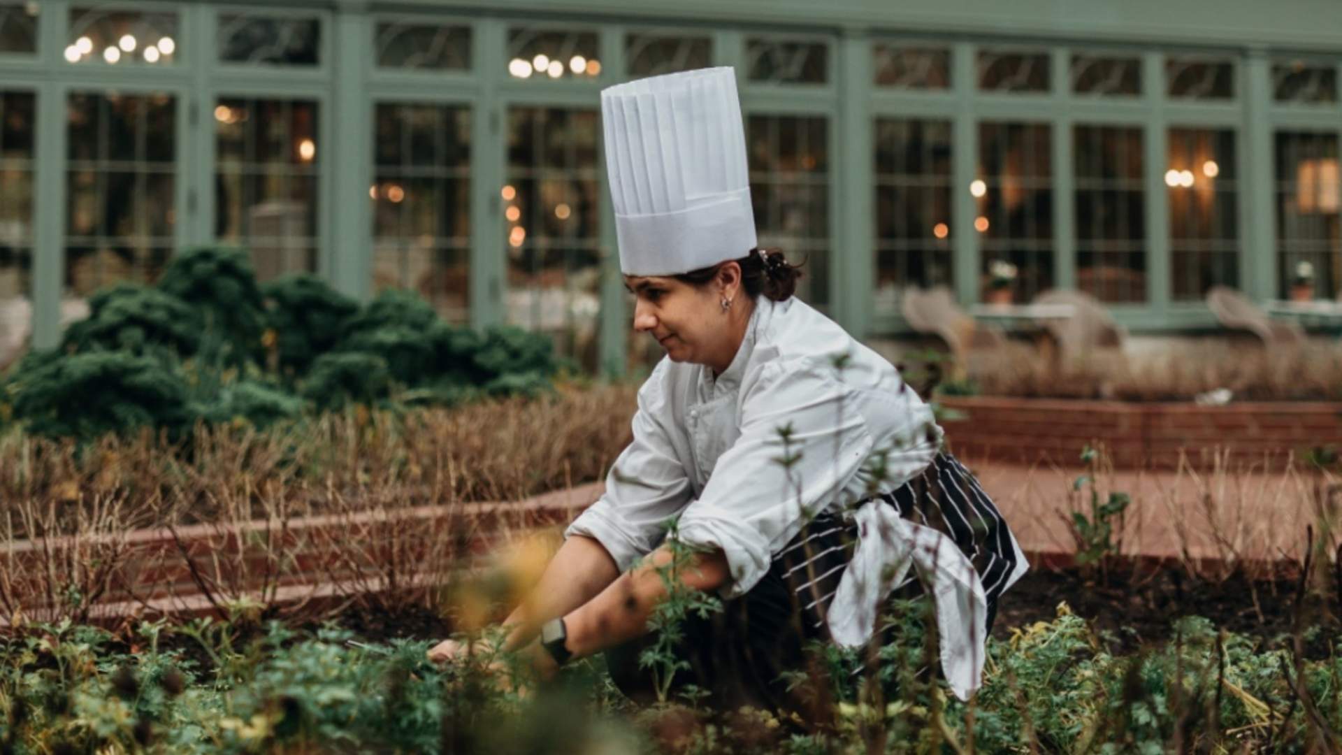 Ferske grønnsaker rett fra hagen