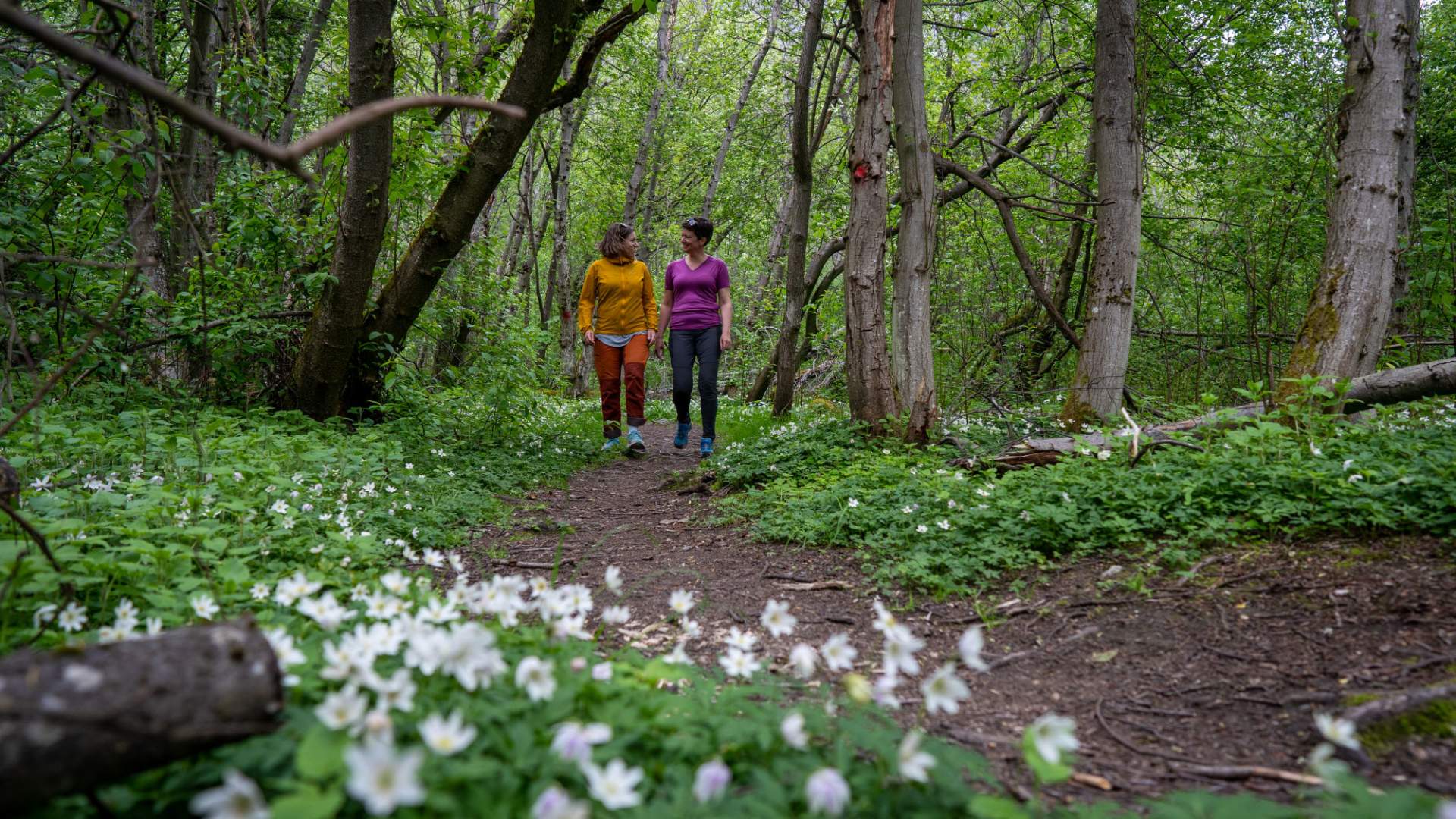 Vinnu stone staircase