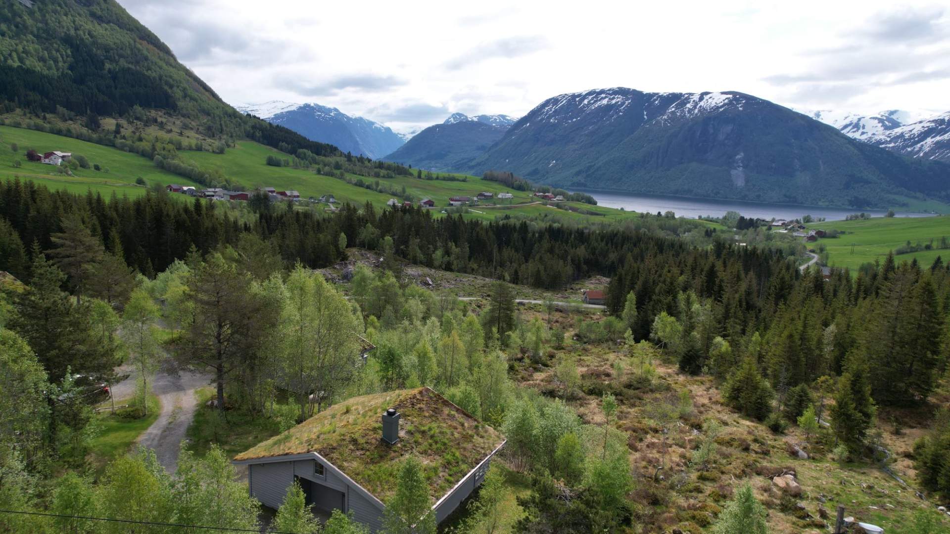 Jølsterlia Hyttegrend