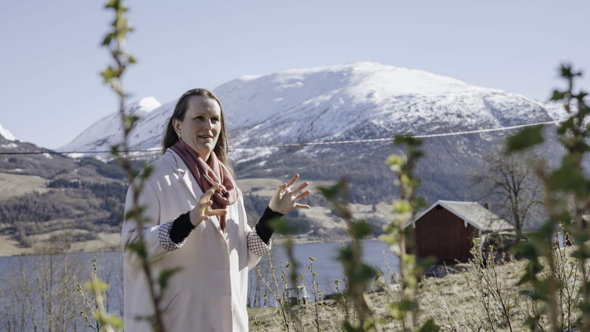 Vingarden på Jølst