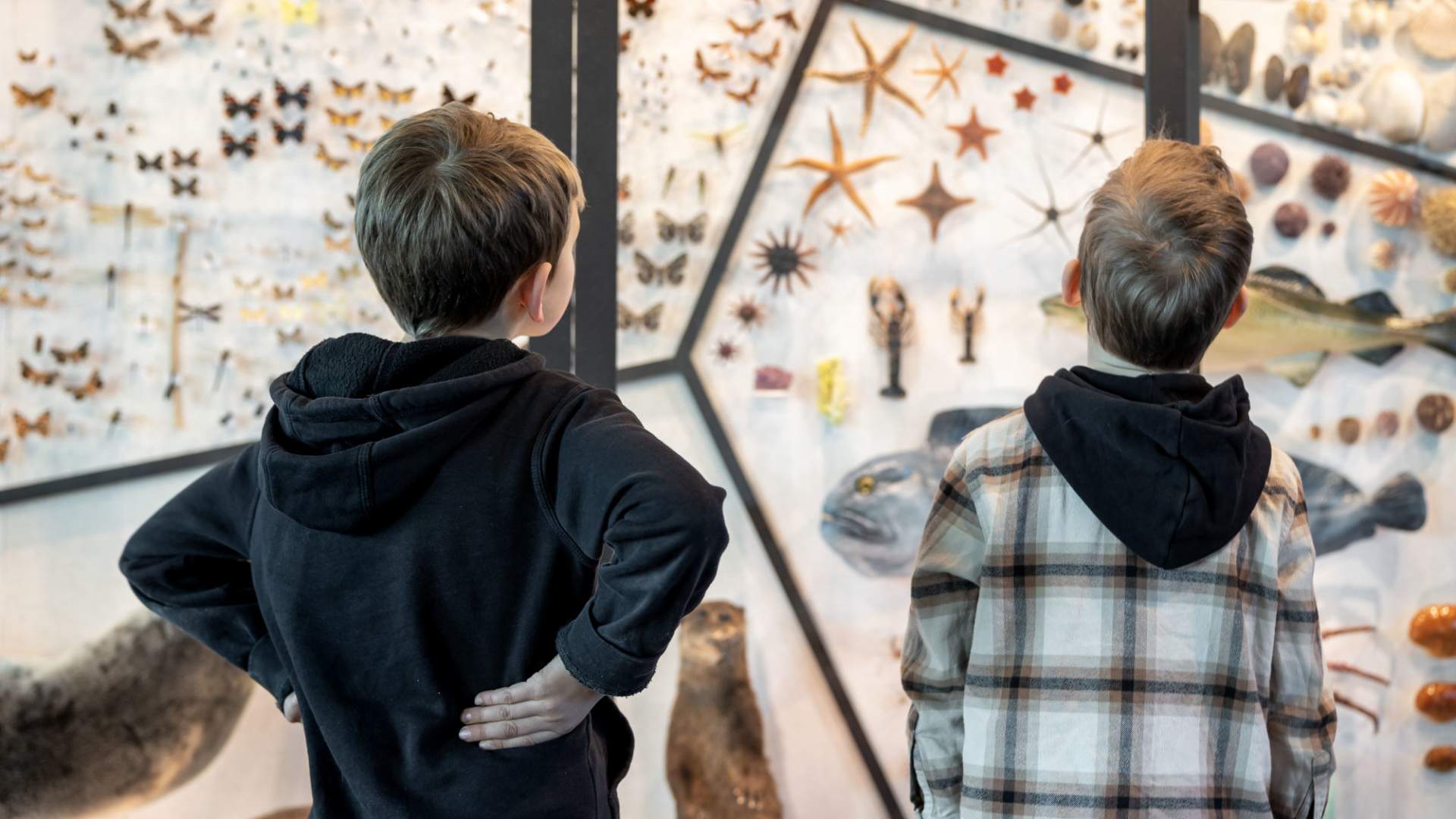 Stavanger museum