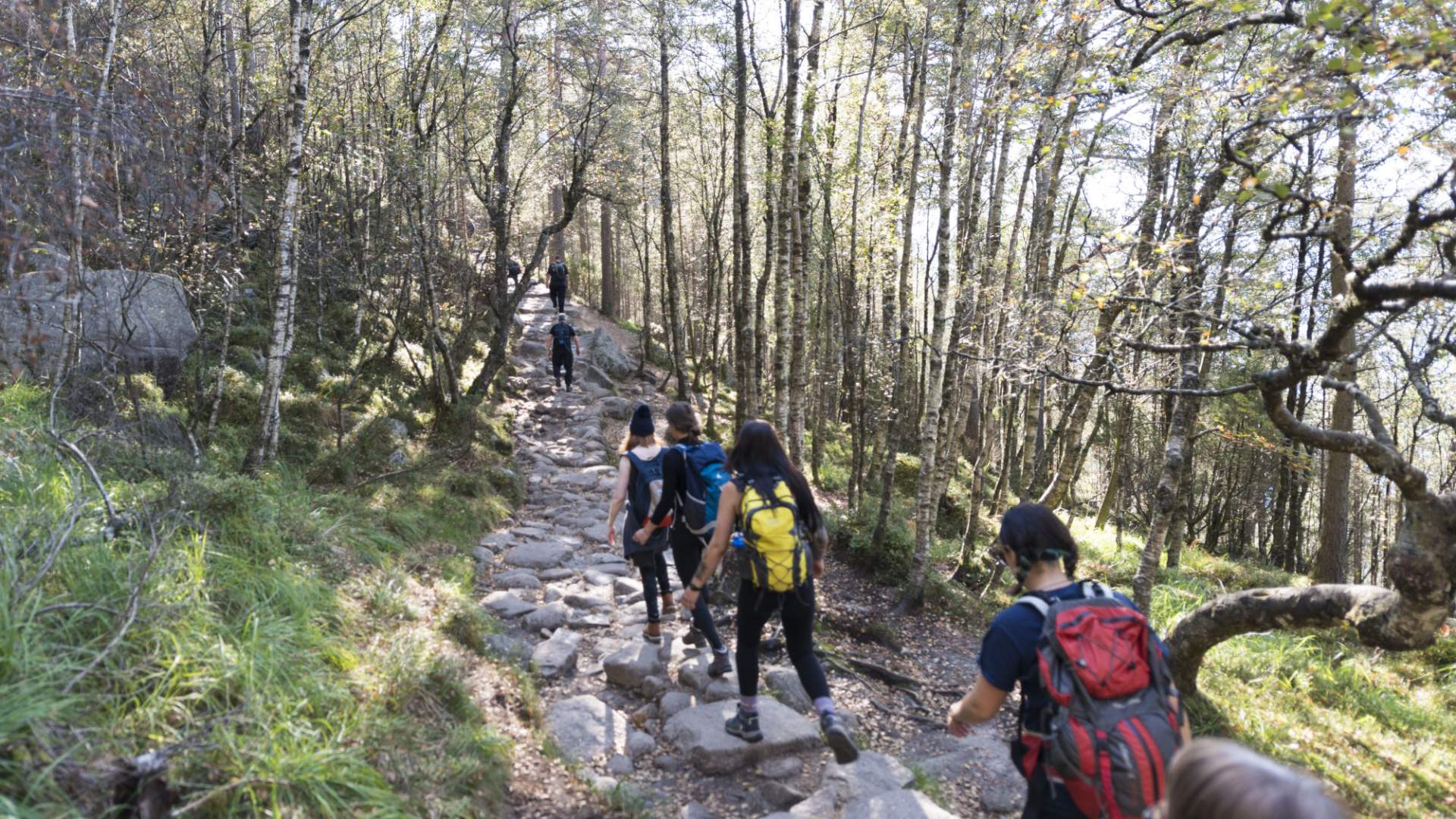 Hike to Preikestolen
