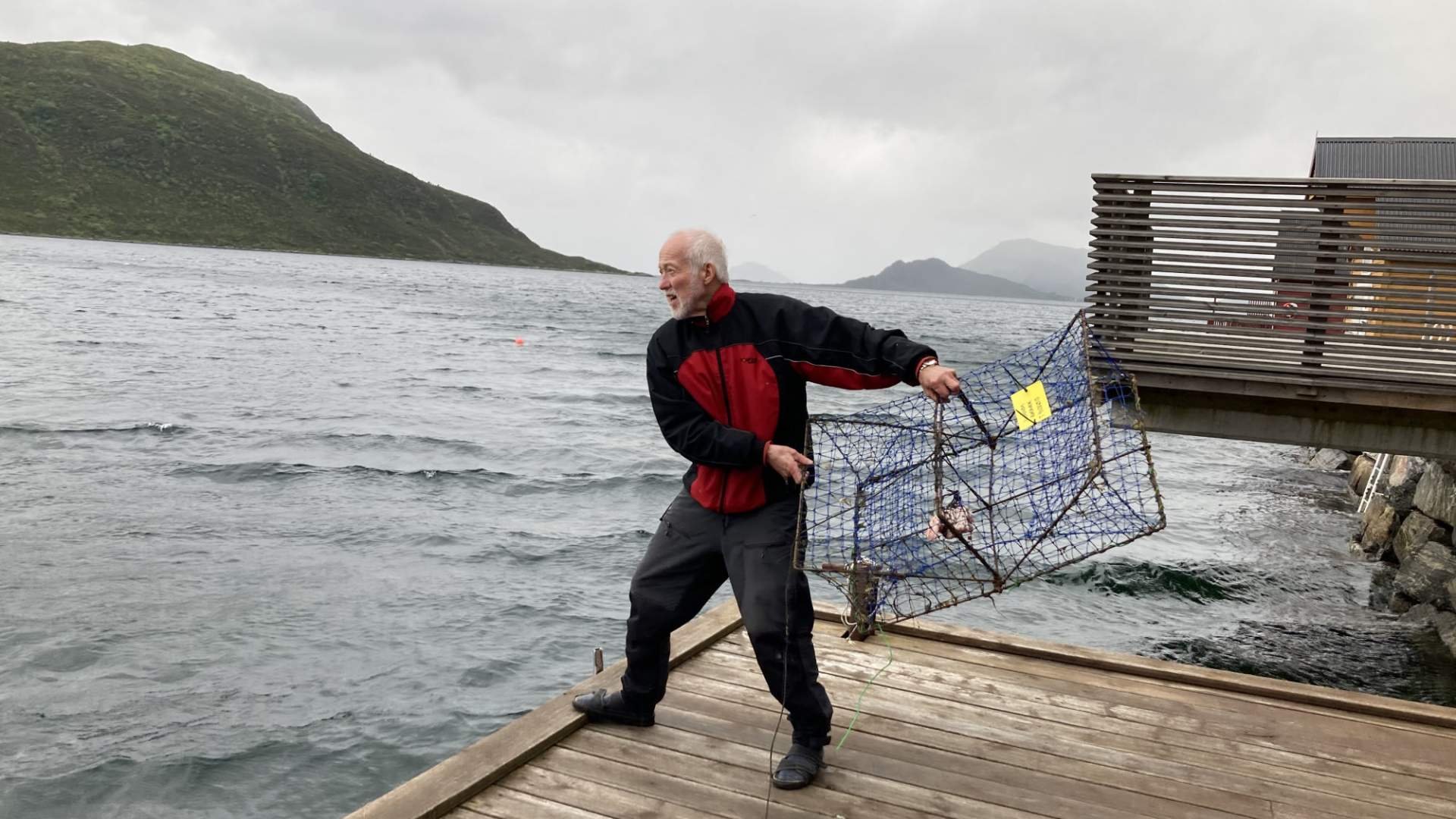 Her kan du fiske eigen krabbe rett frå brygga.