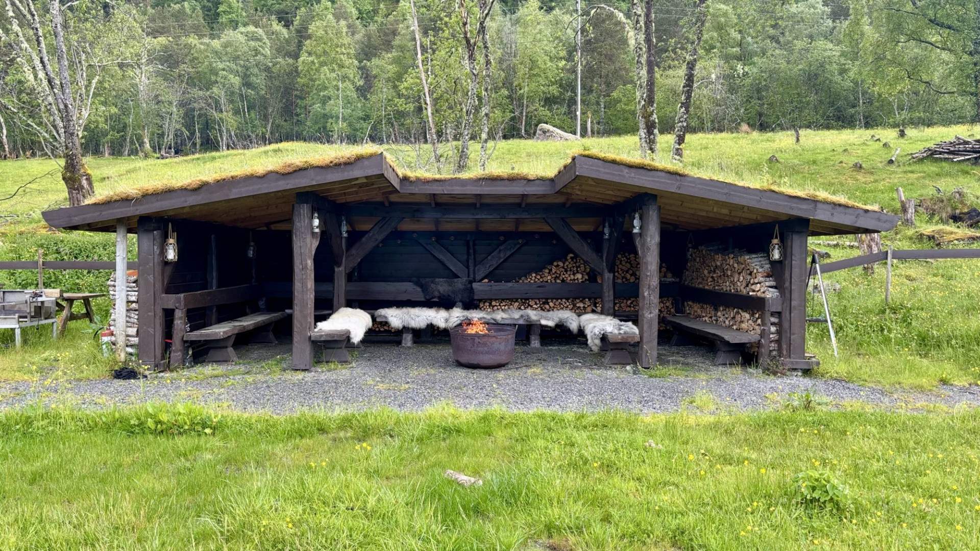 Nyt utsikten på villsauskinn fra gapahuken