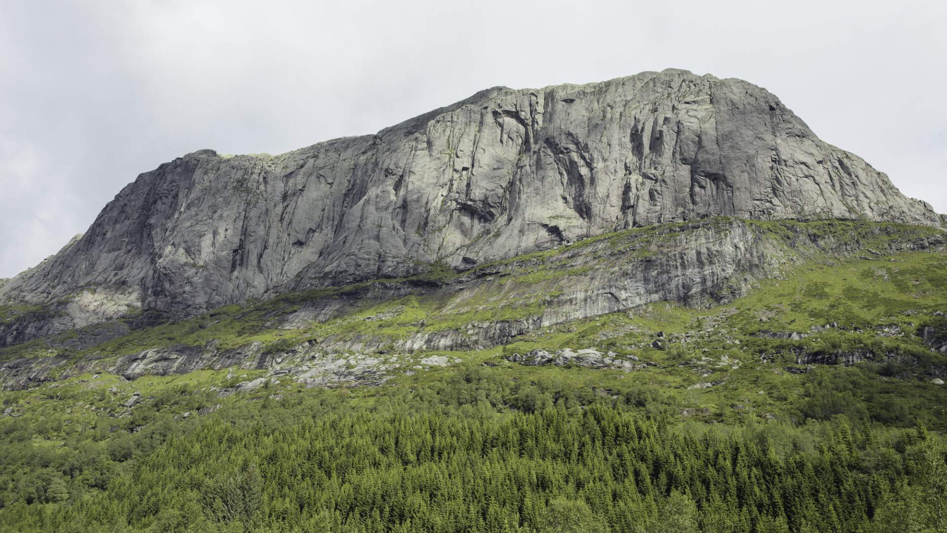 Storehesten Panorama