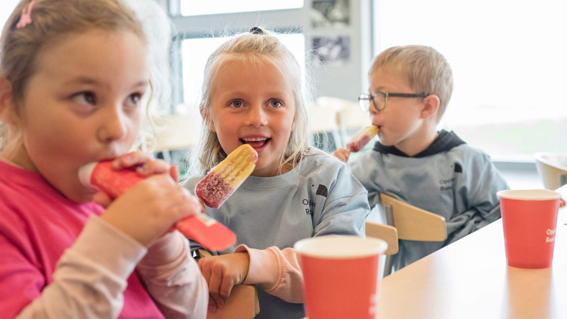 Ispause i kafeen på Runde Miljøsenter.