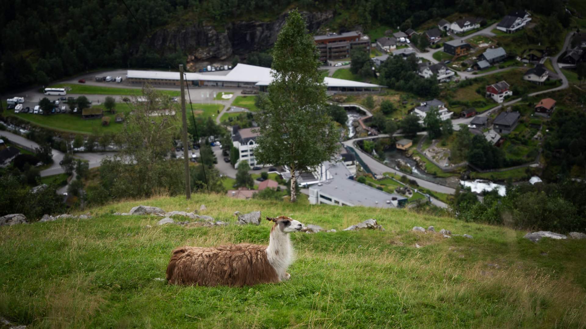 Westerås Gard - Restaurant