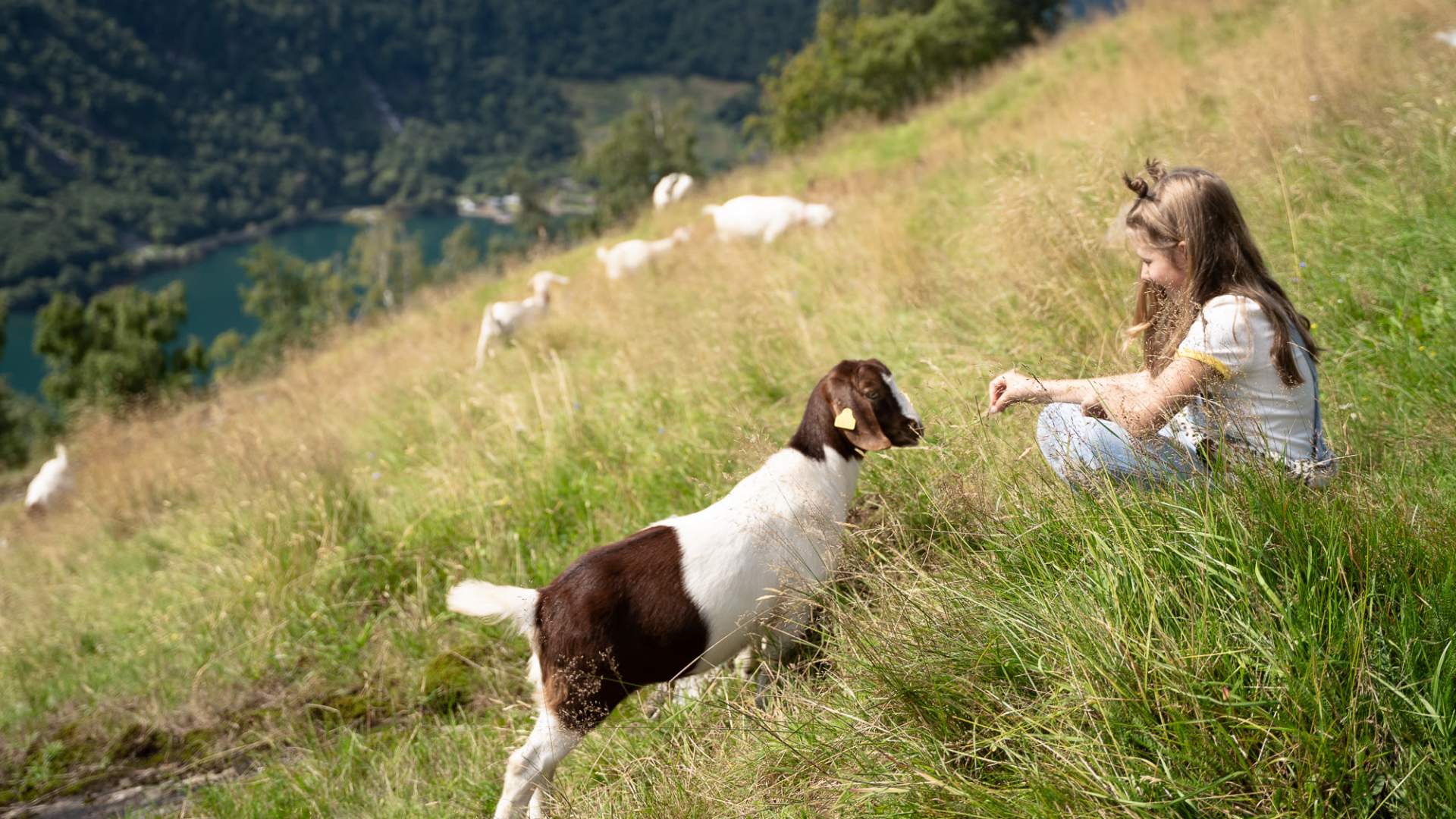 Westerås Gard - Restaurant