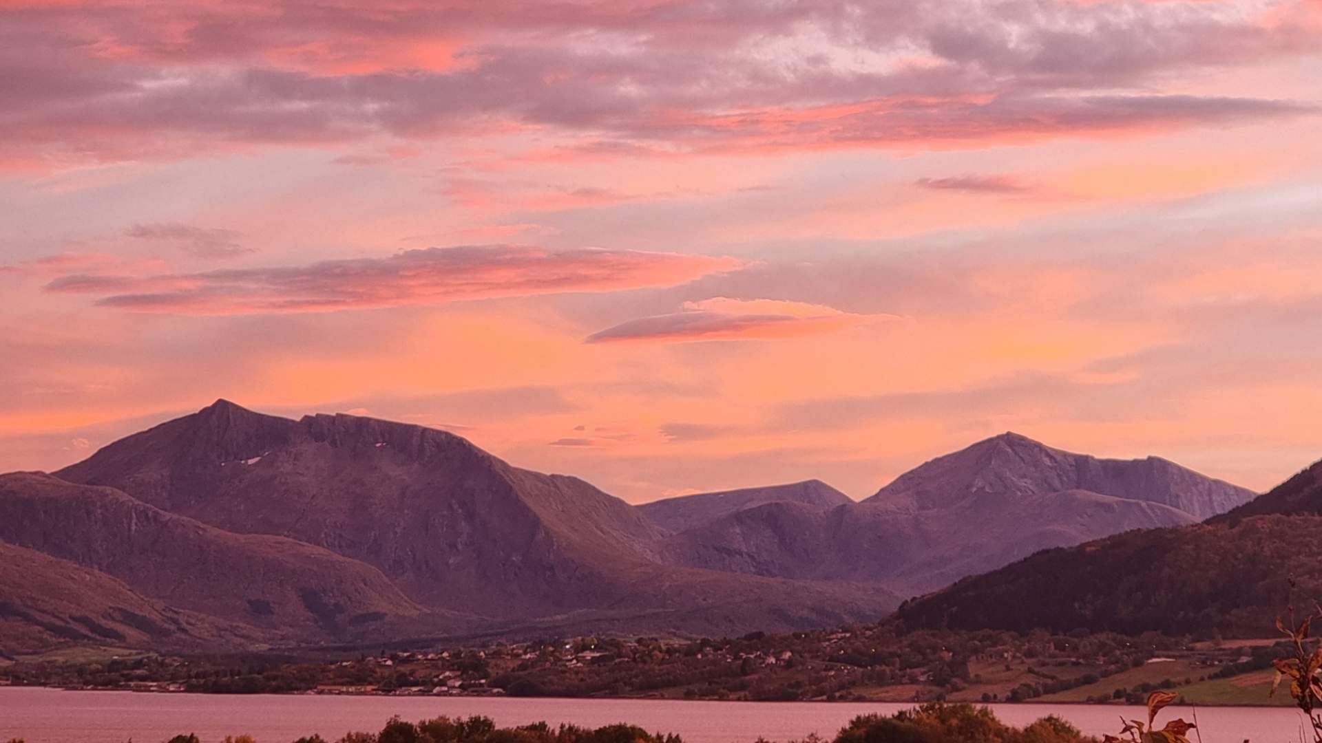 Alpakkabesøk hos Designerbonden