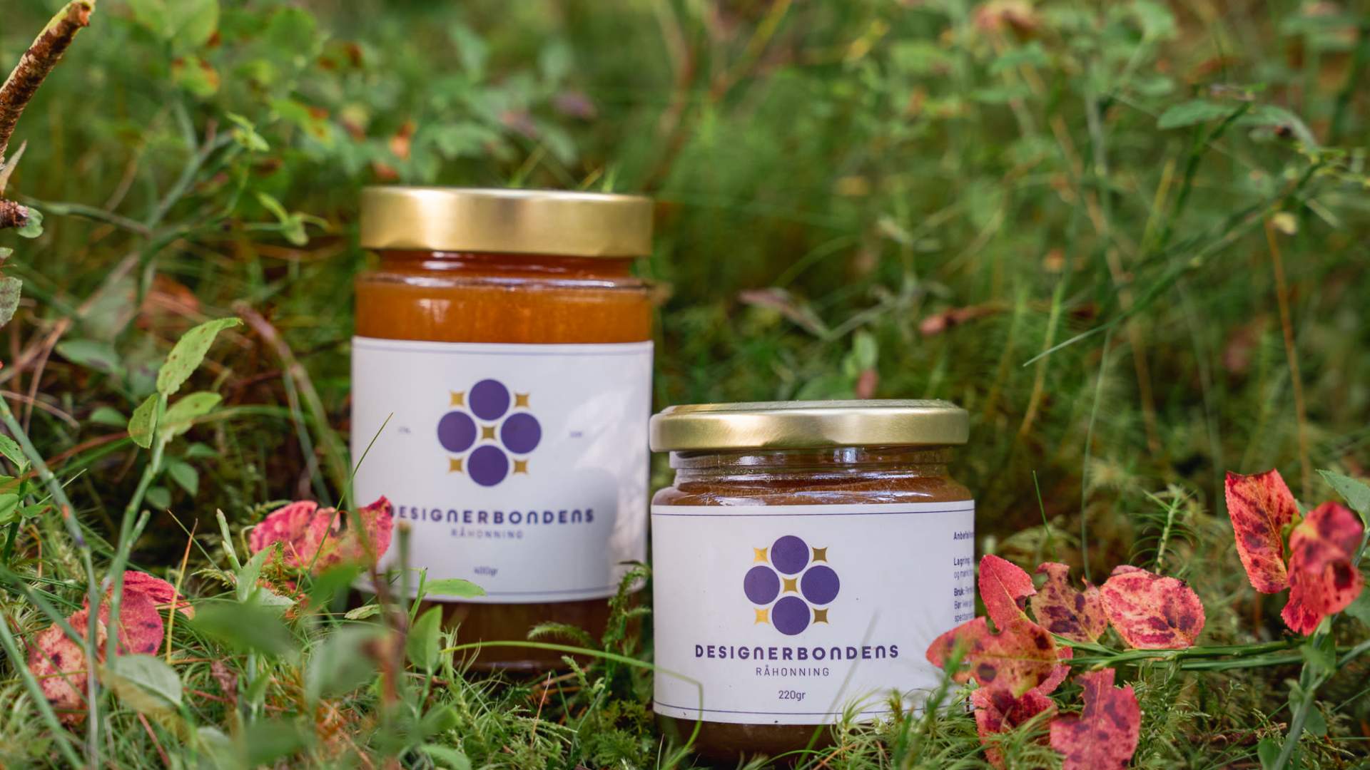 Guidet alpakkabesøk hos Designerbonden