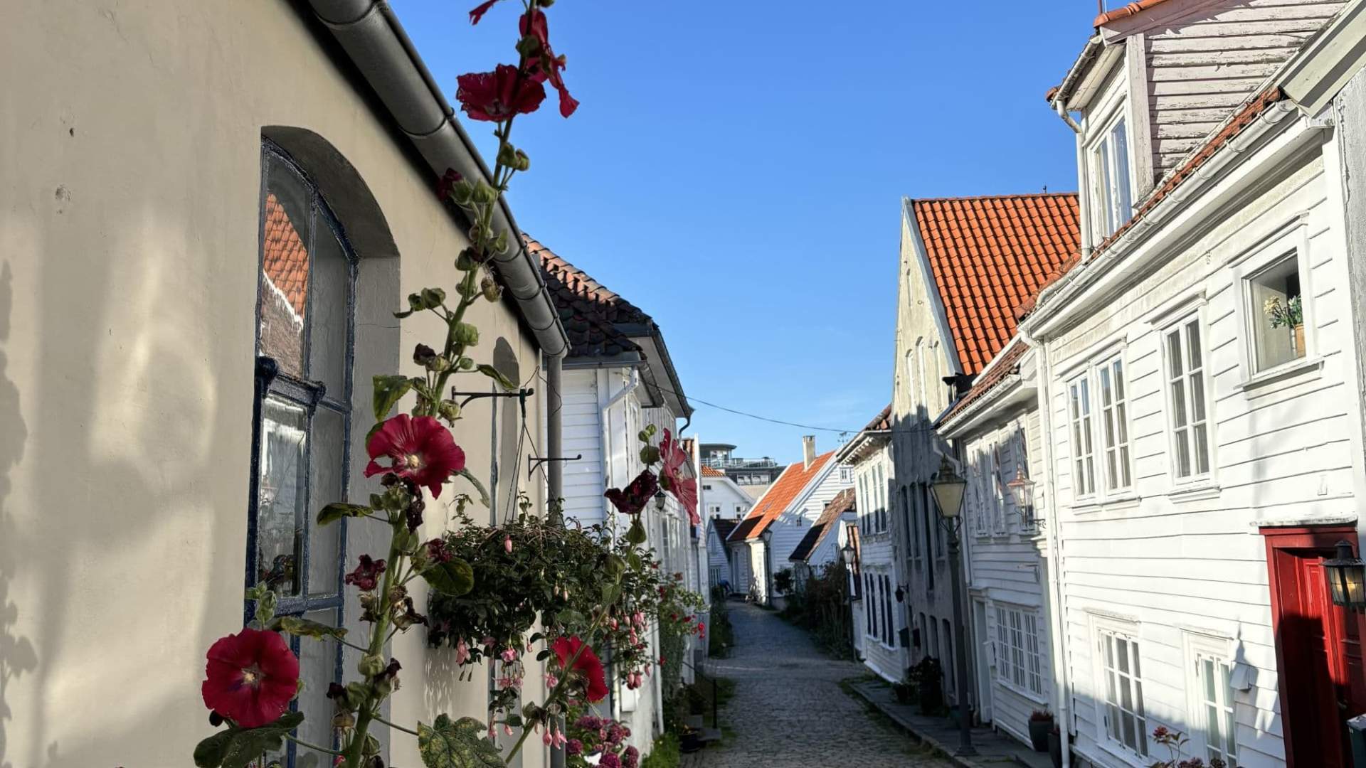 Stavanger privat byvandring My Adventures Travel