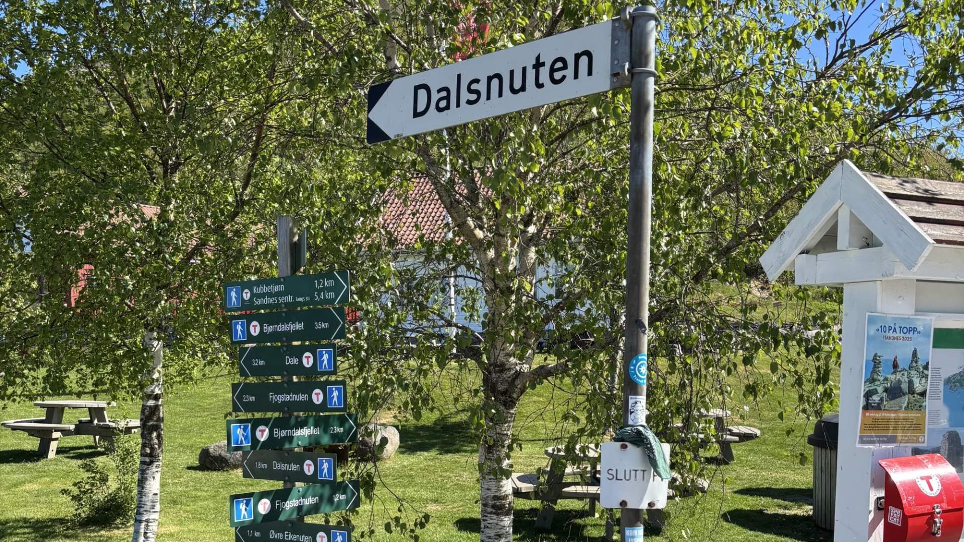 dalsnuten hike with guide