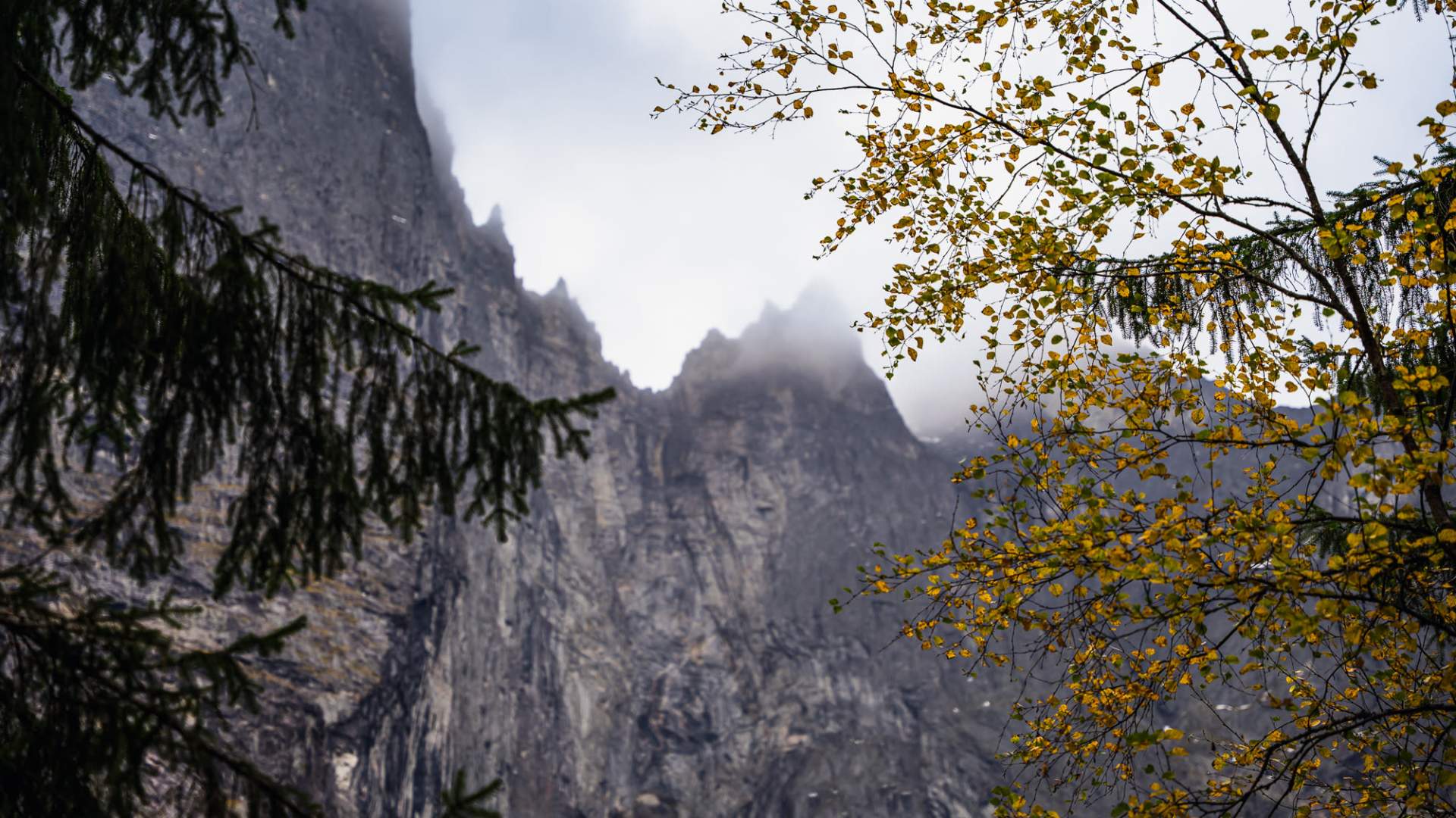 Guidet vikingtur med Horgheim