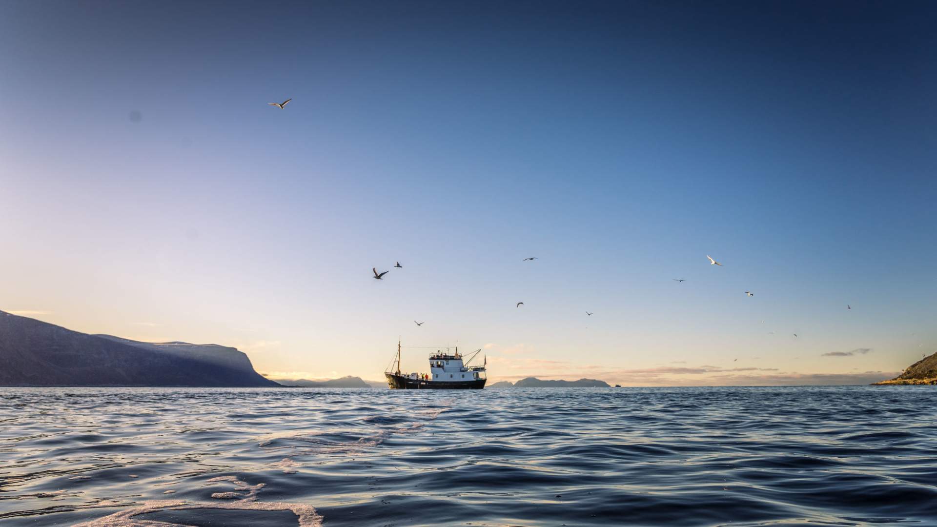 På fisketur i solnedgang ute ved havet.