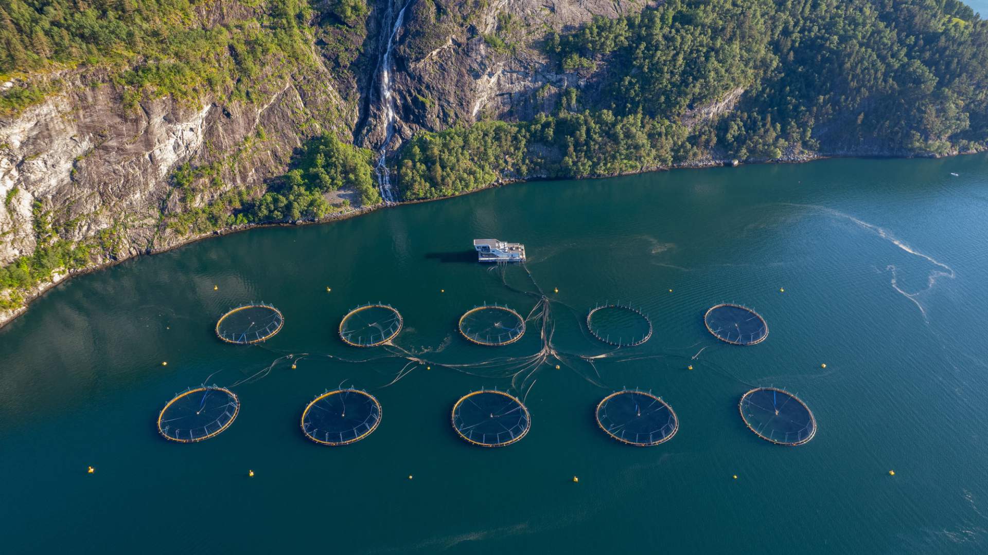 Visningssenter for havbruk i Valldal