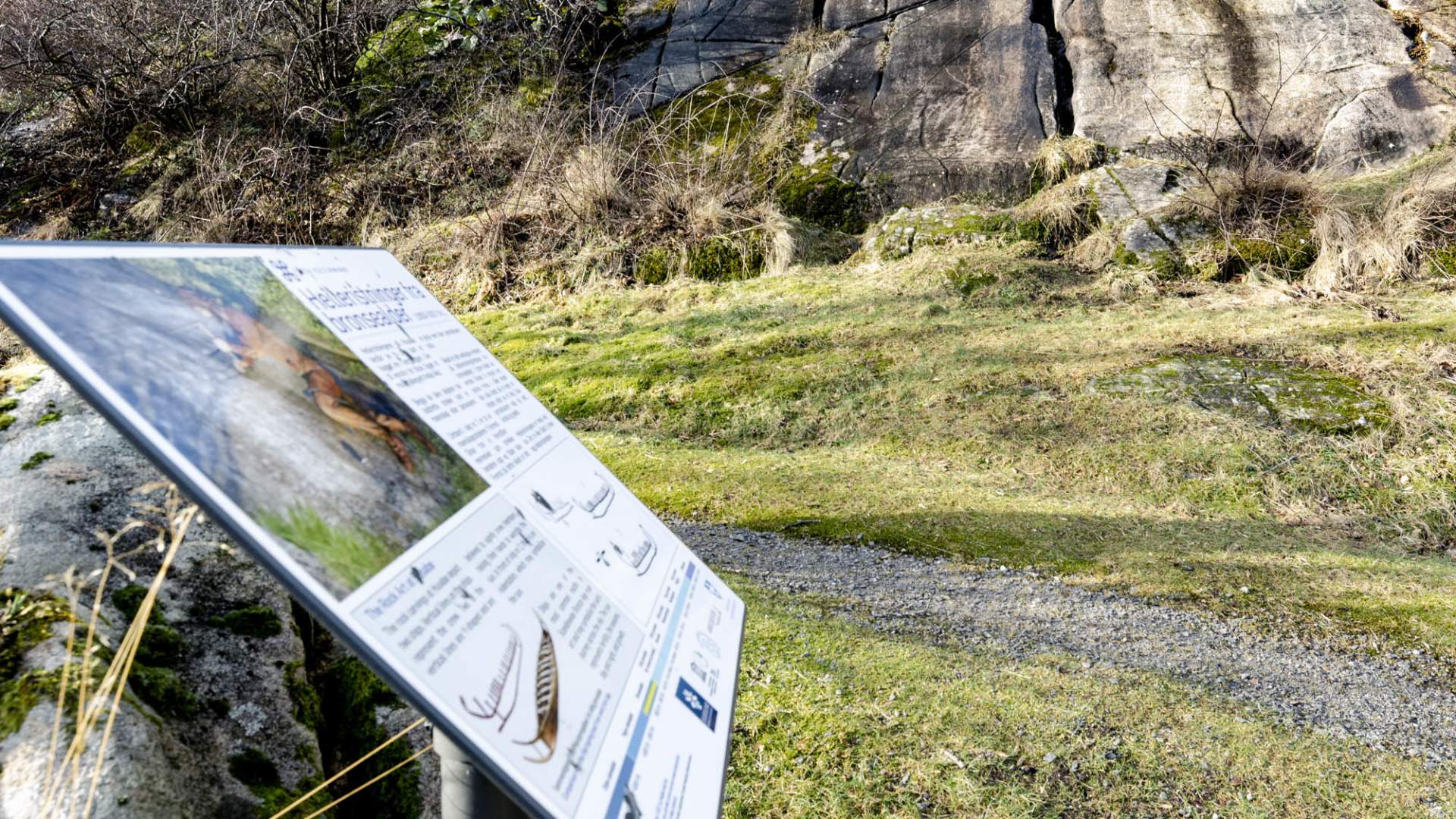 Helleristninger på Husabø