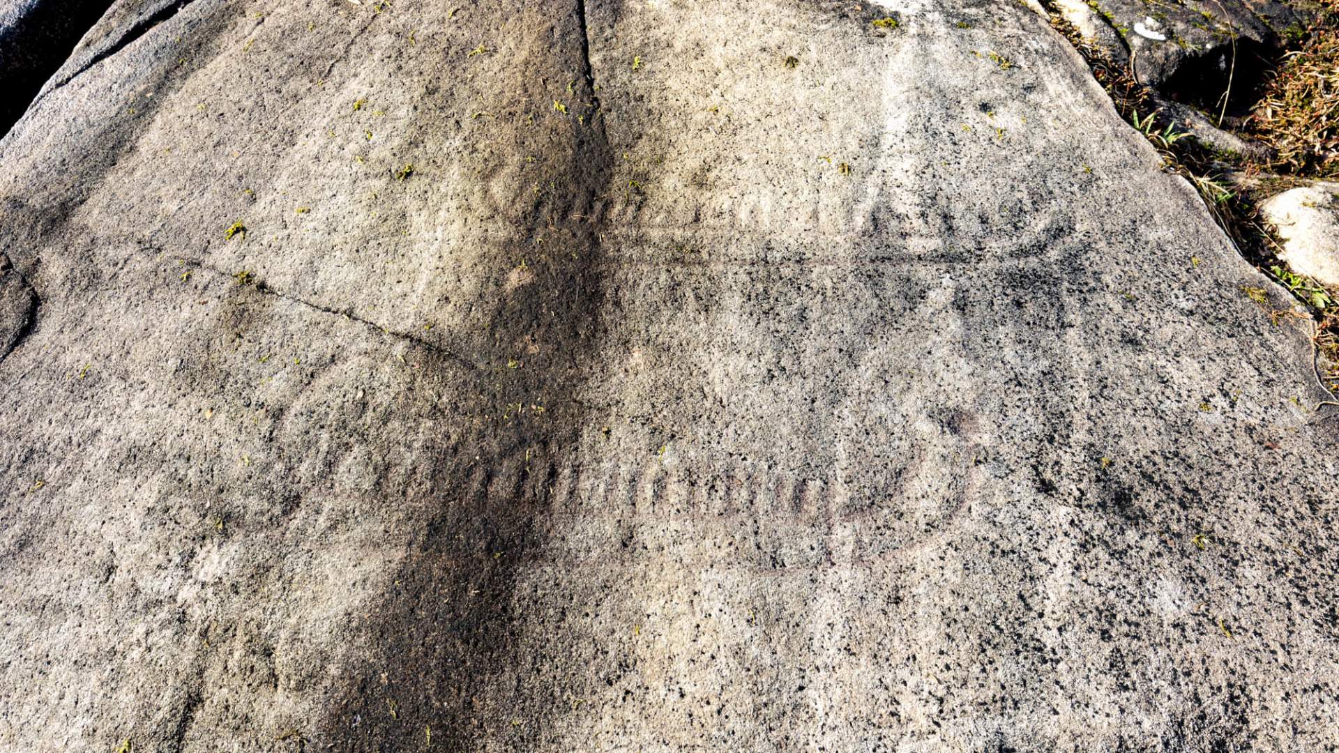 Helleristningene på Husabø