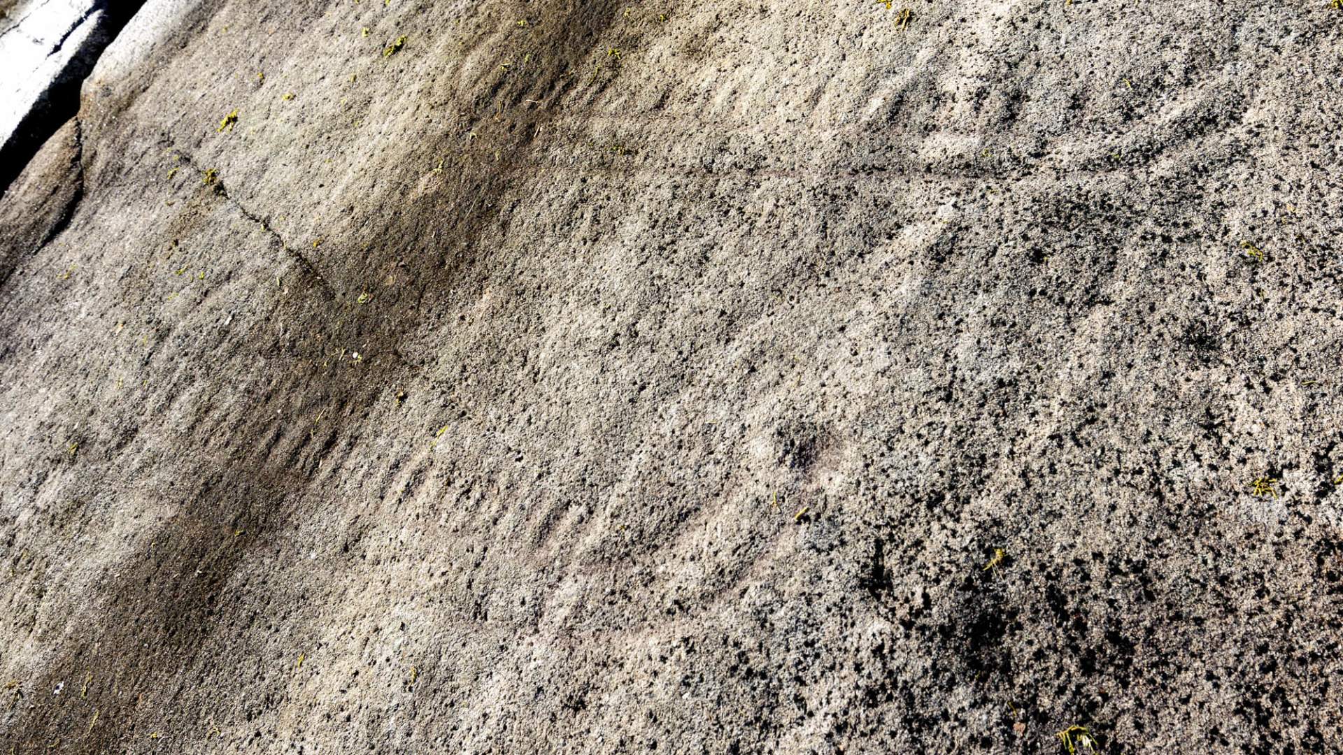 Helleristningene på Husabø